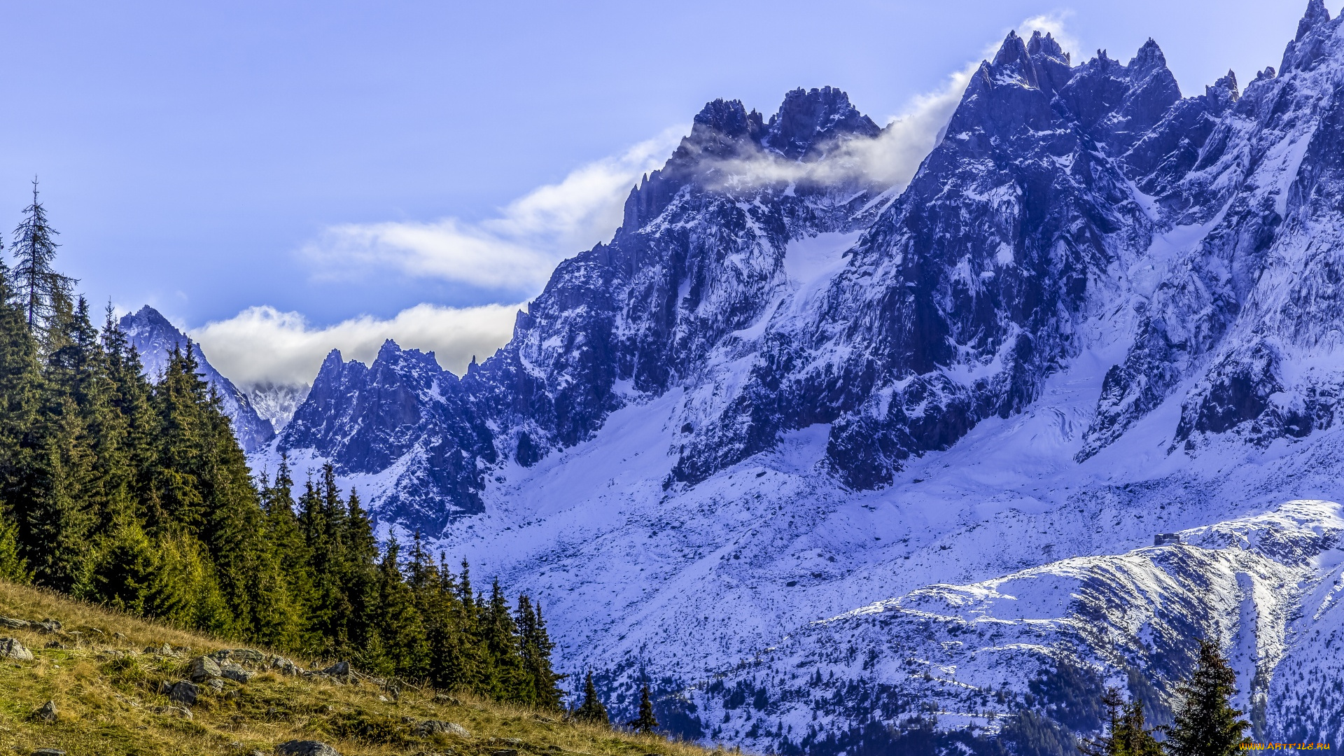 природа, горы, снег, елки