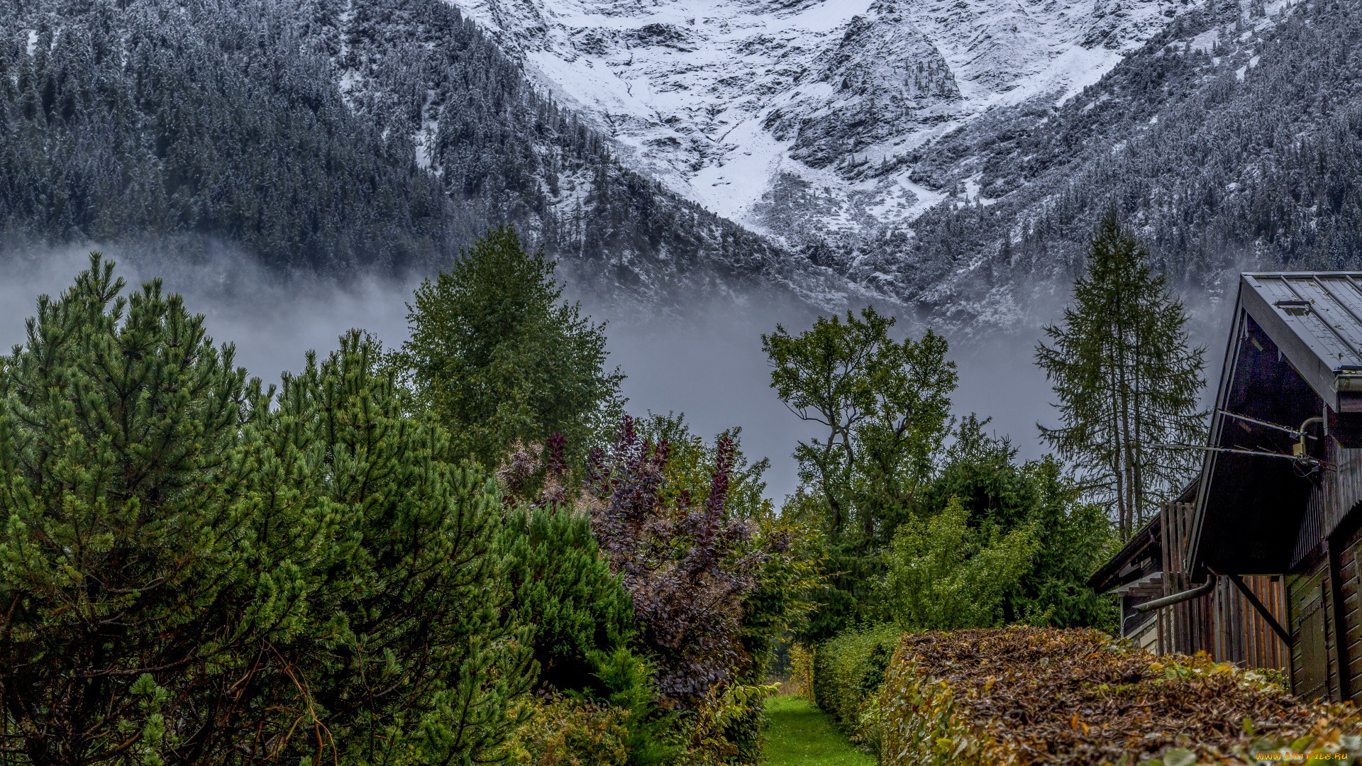 природа, горы, туман