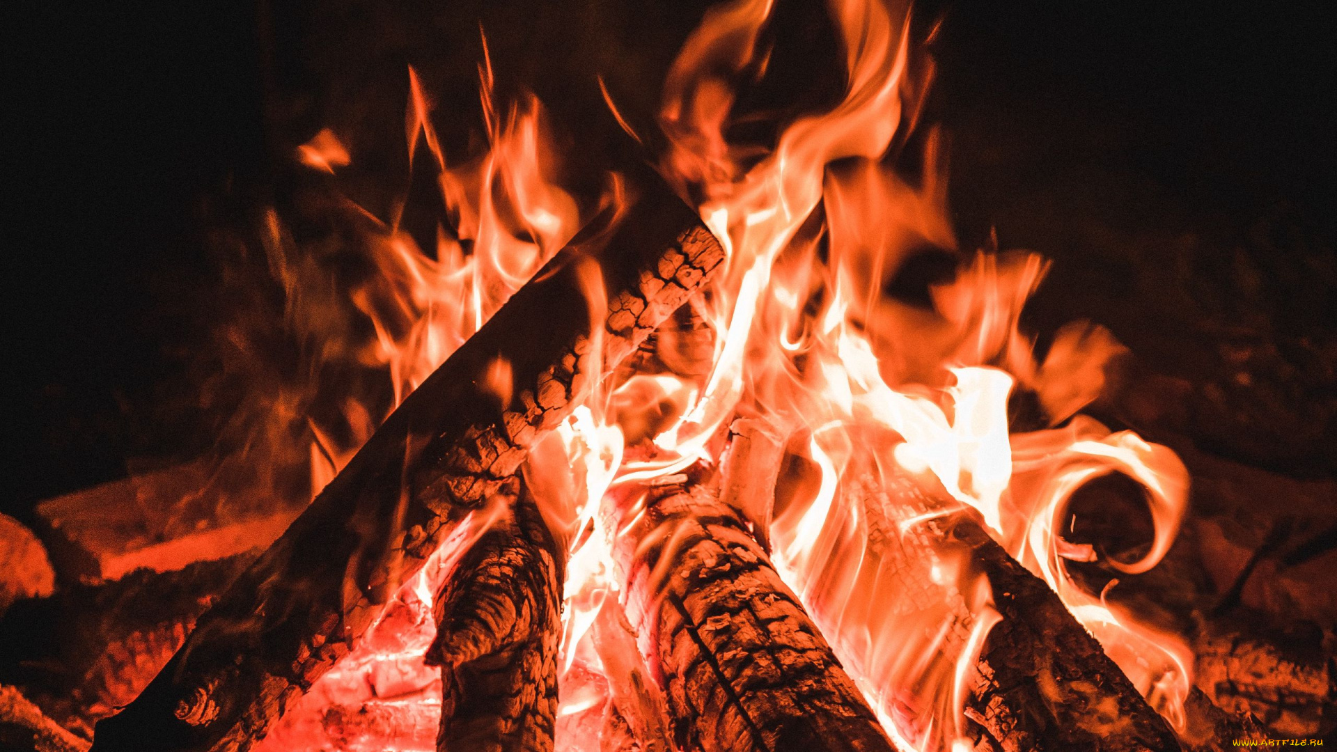 природа, огонь, костер, поленья