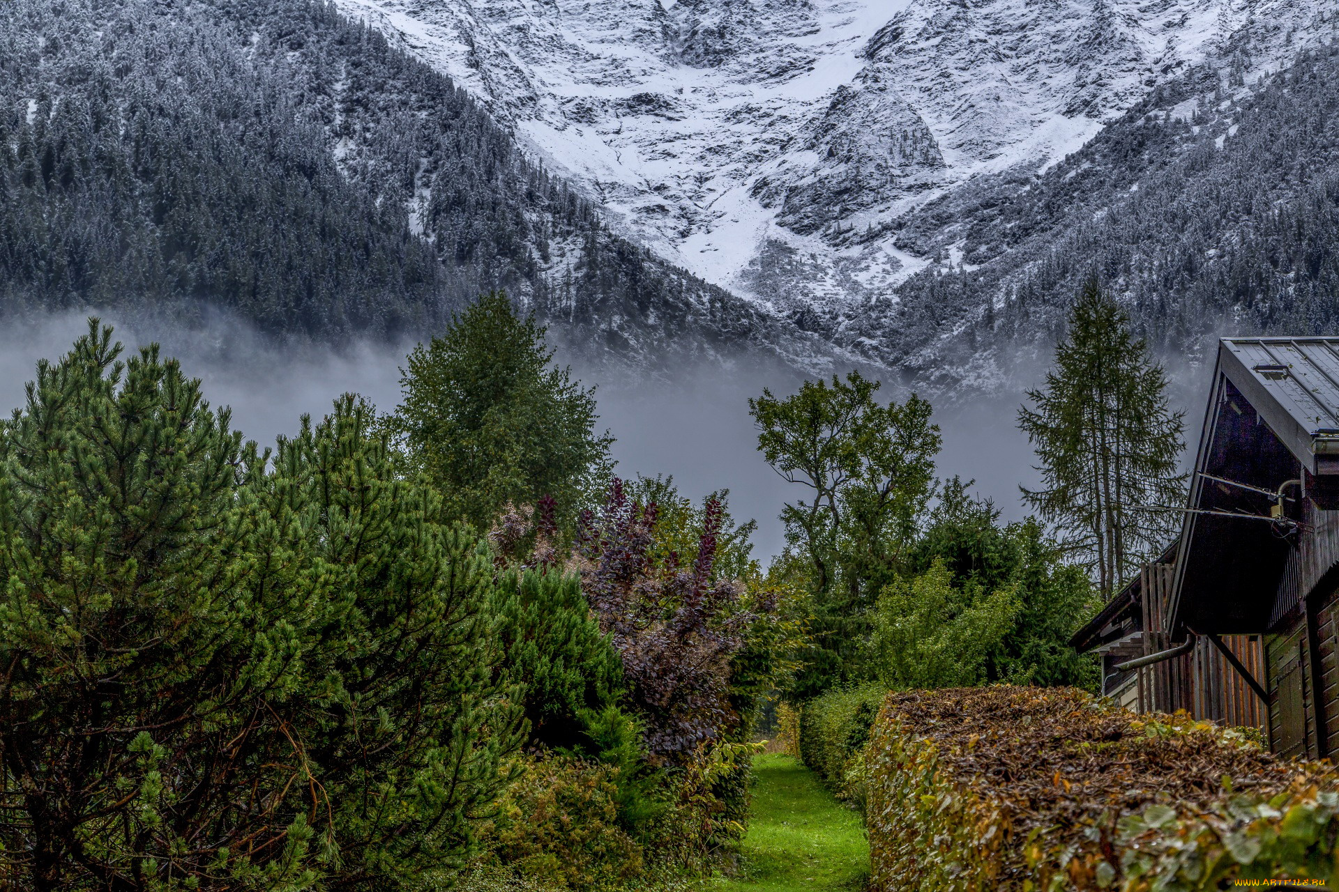 природа, горы, туман