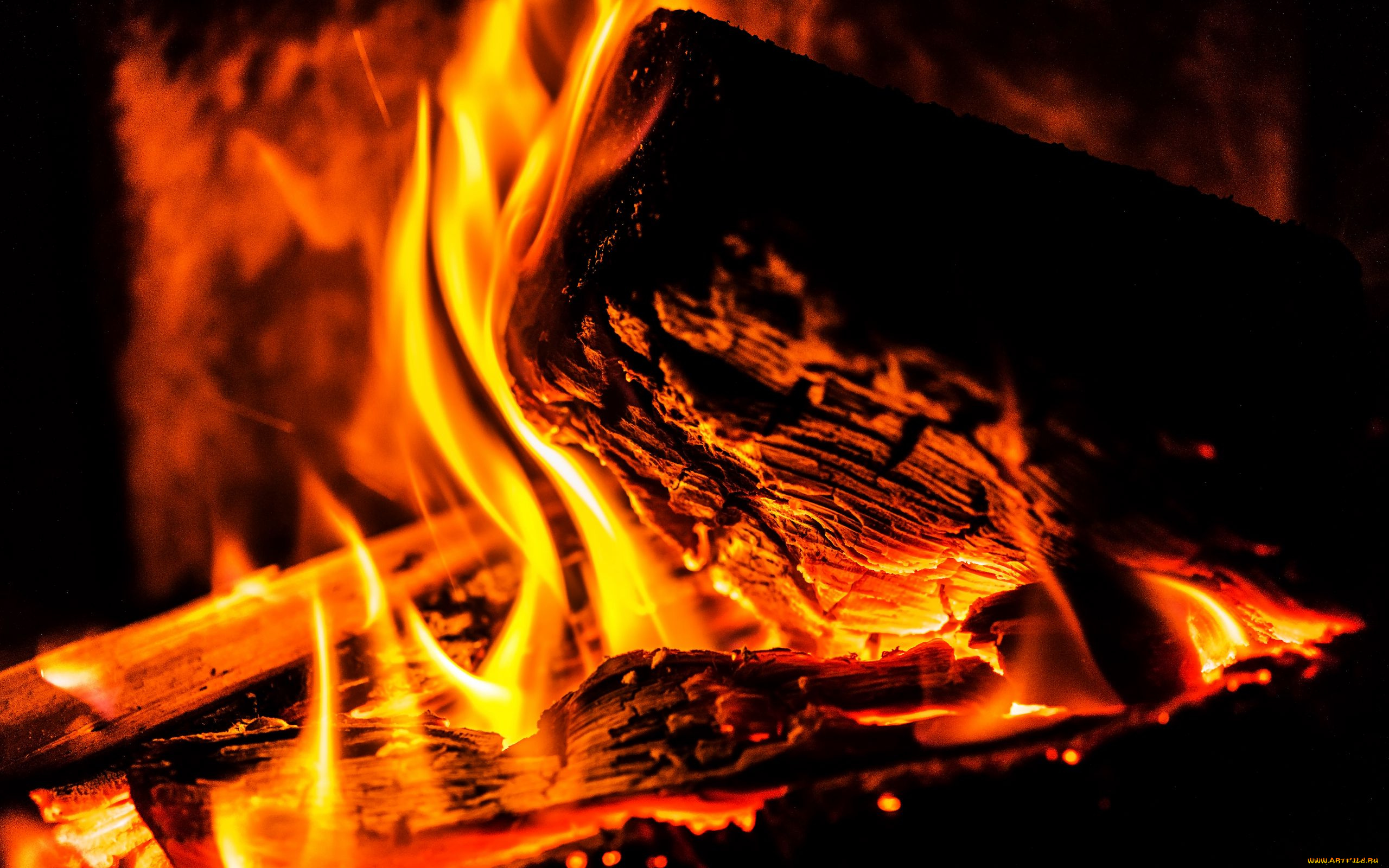 природа, огонь, костер, поленья