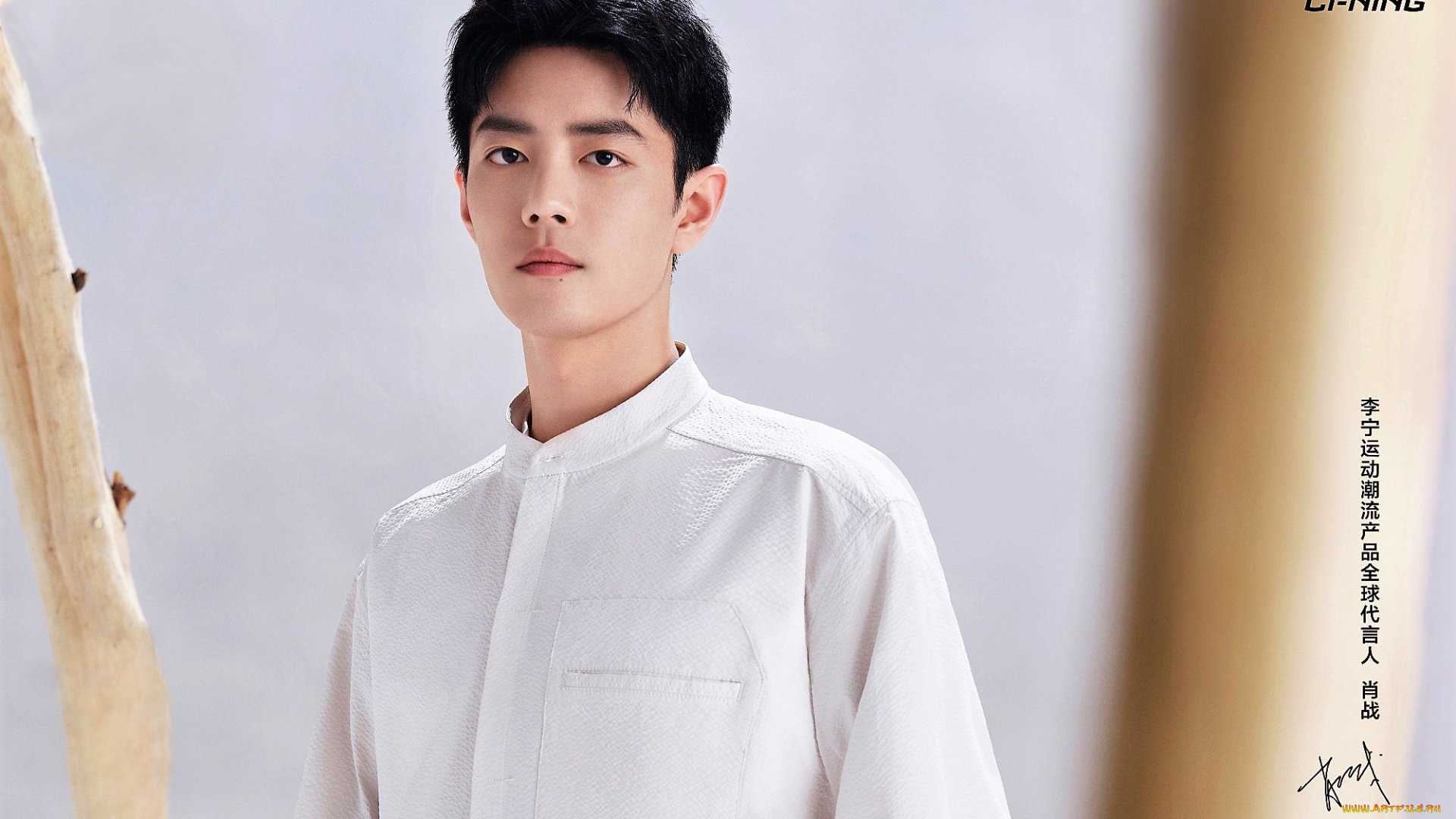 мужчины, xiao, zhan, актер, рубашка, сучья