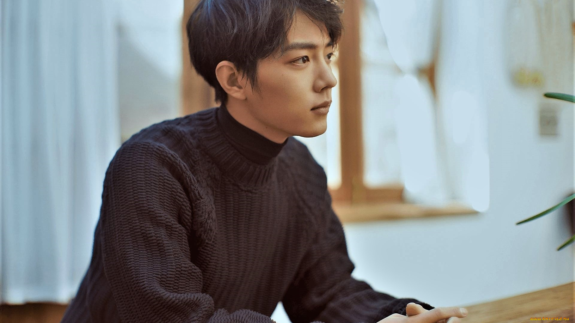 мужчины, xiao, zhan, актер, свитер