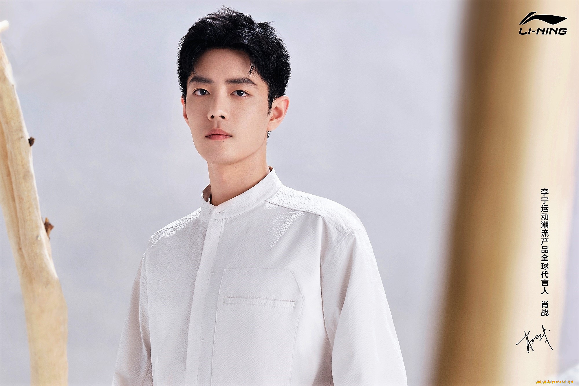 мужчины, xiao, zhan, актер, рубашка, сучья