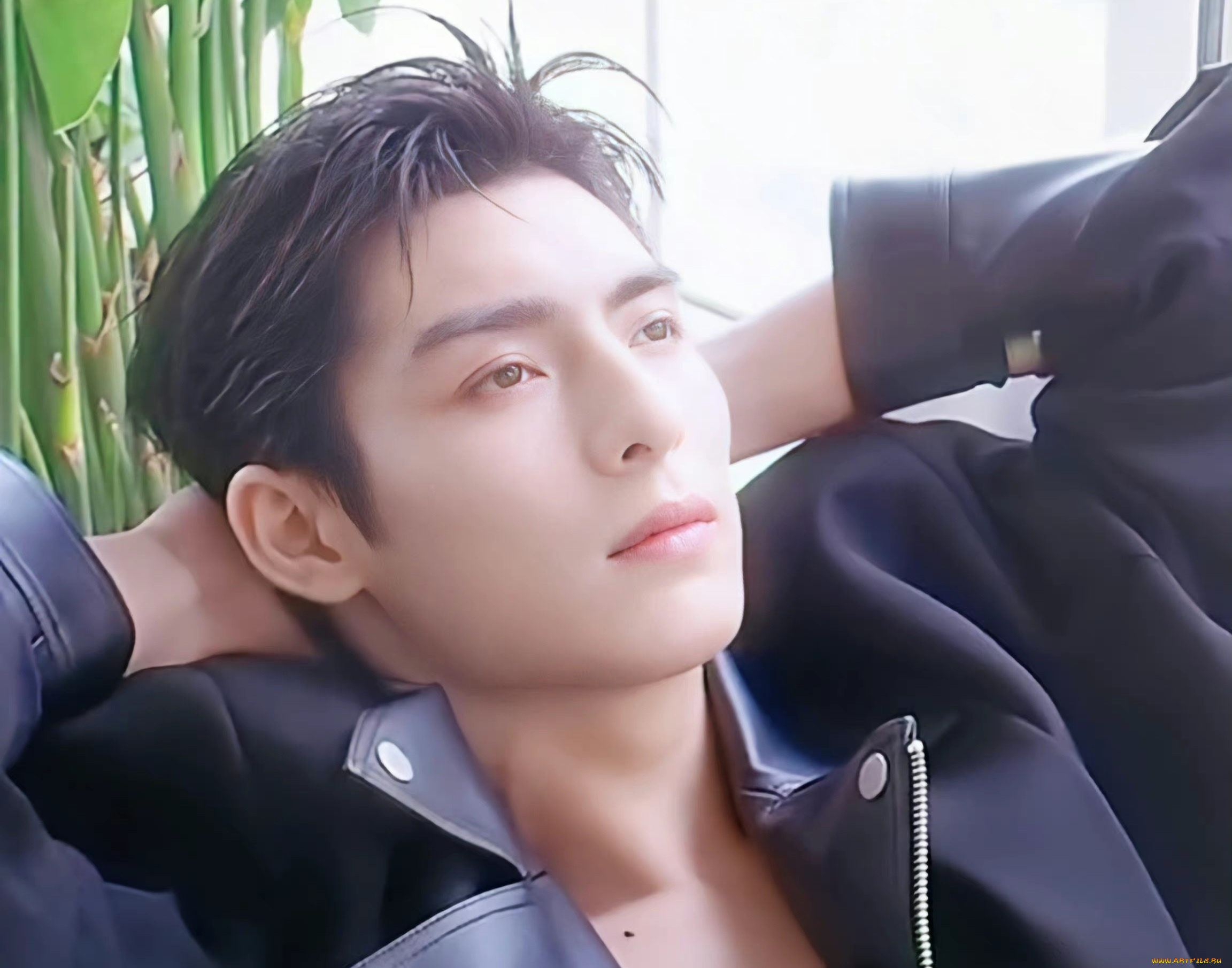 мужчины, wang, hao, xuan, ван, хао, сюань