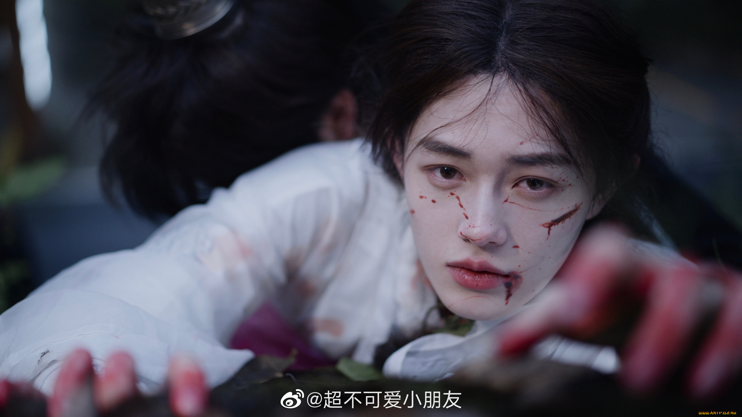 хаски, и, его, учитель, белый, кот, мужчины, -, креатив, , косплей, хаски, и, его, учитель, белый, кот