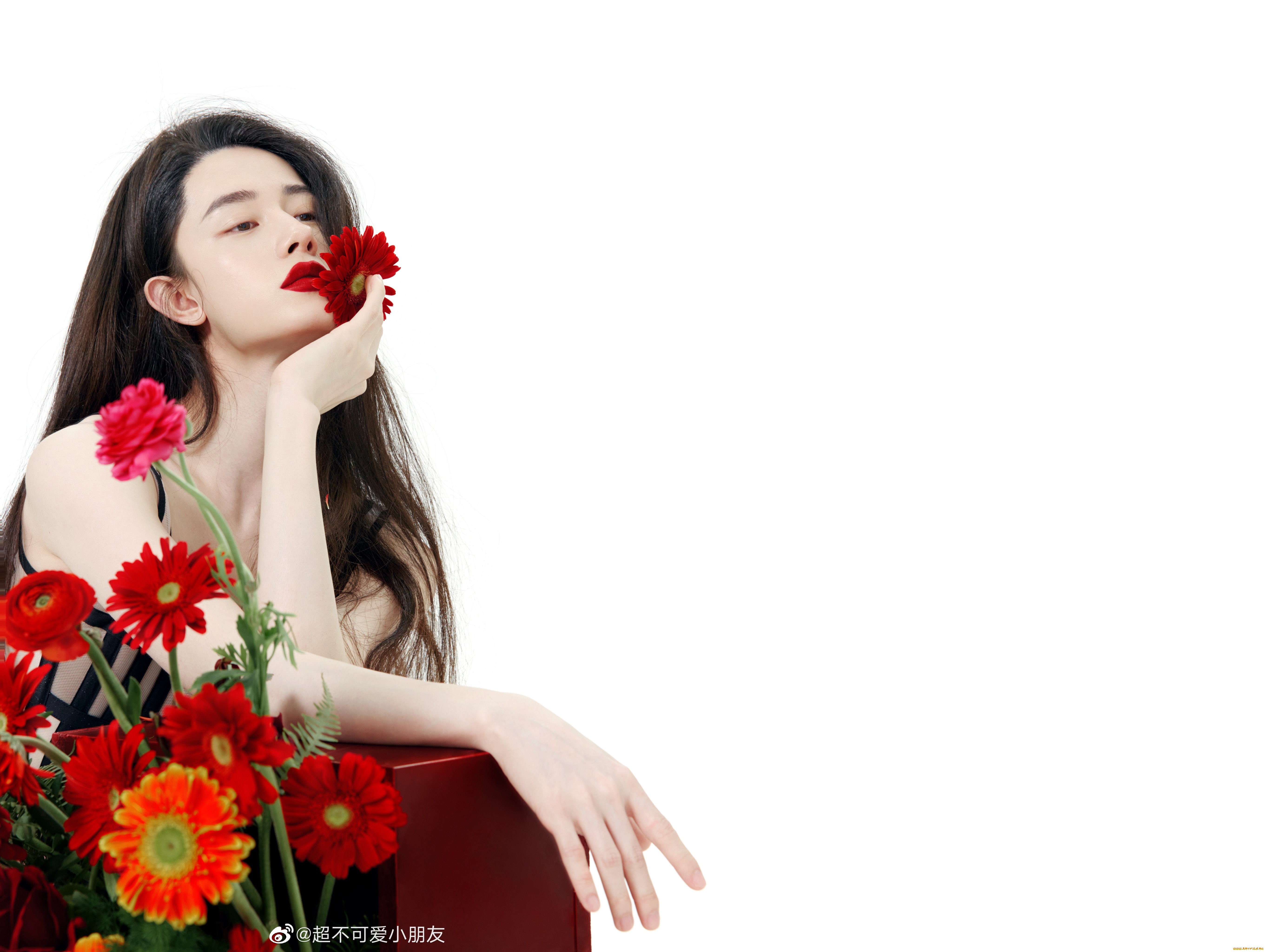 мужчины, tang, shihao, tang, shihao, тан, шиао