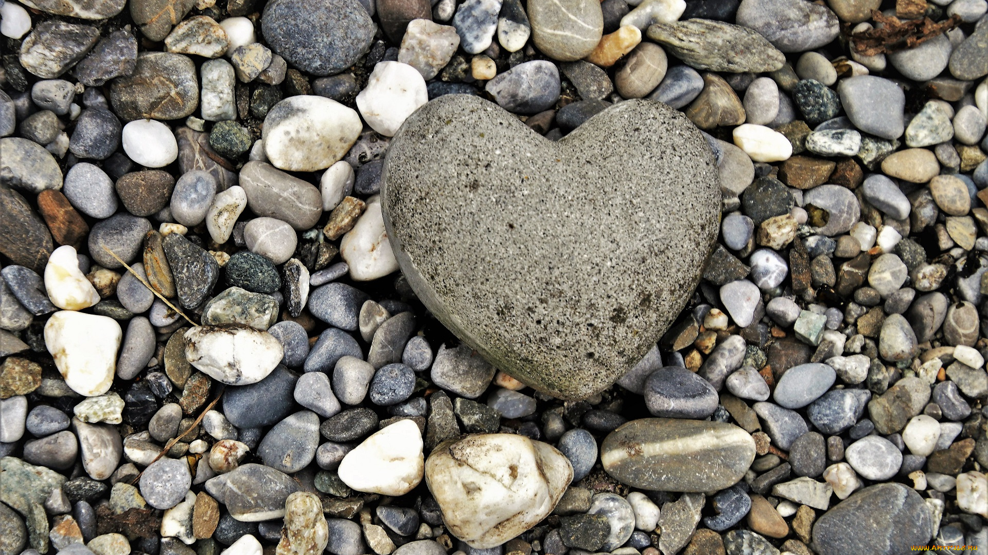 разное, ракушки, , кораллы, , декоративные, и, spa-камни, камни, галька, сердечко