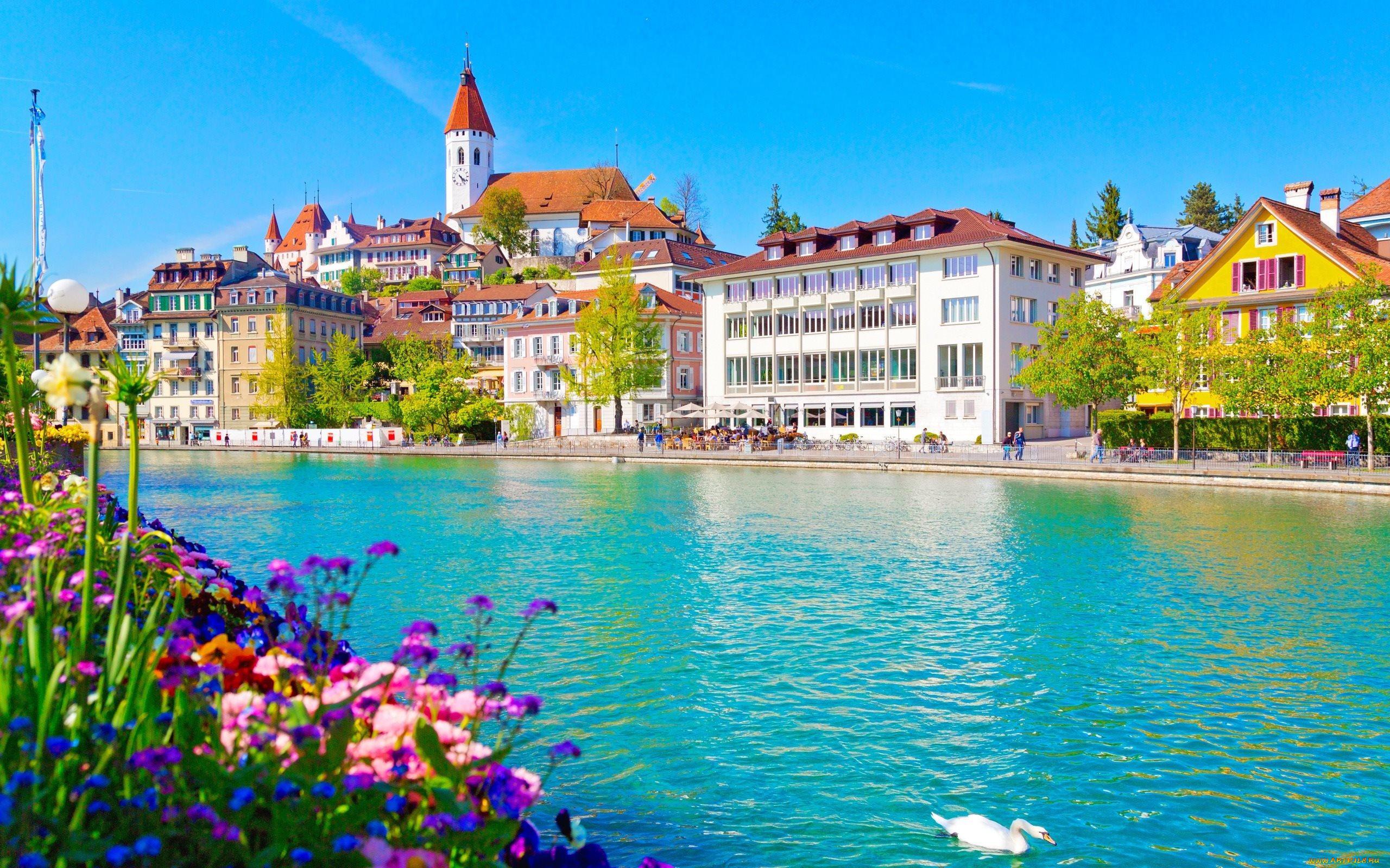 thun, switzerland, города, -, улицы, , площади, , набережные