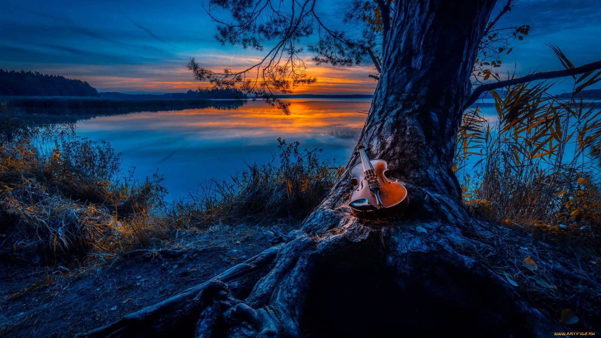 музыка, -музыкальные, инструменты, скрипка