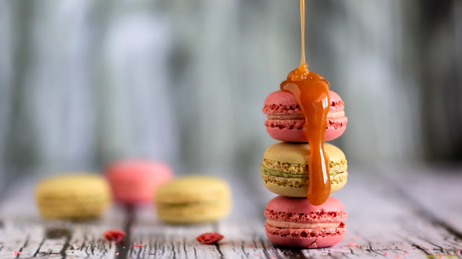 еда, макаруны, лакомство, печенье, ассорти