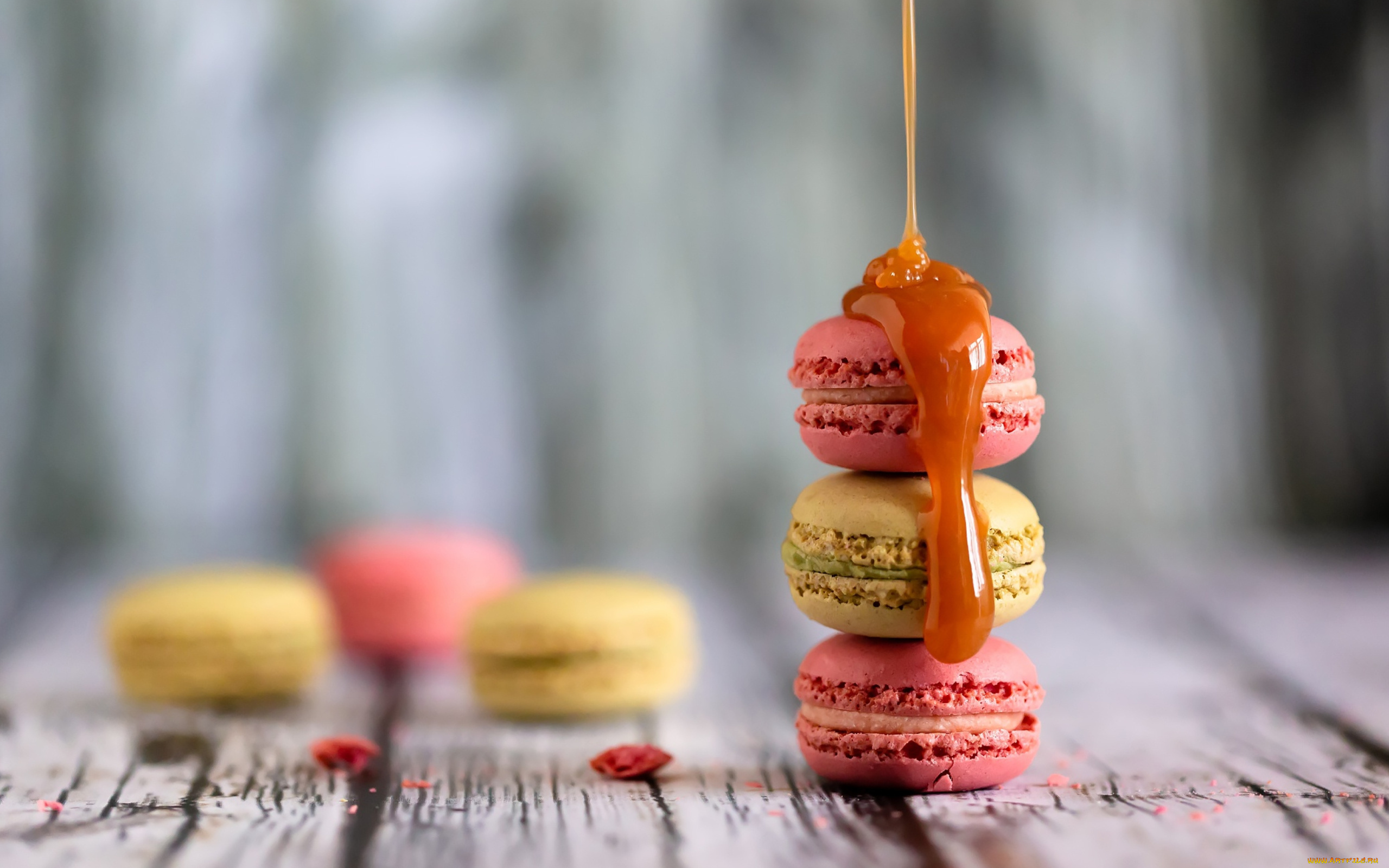 еда, макаруны, лакомство, печенье, ассорти