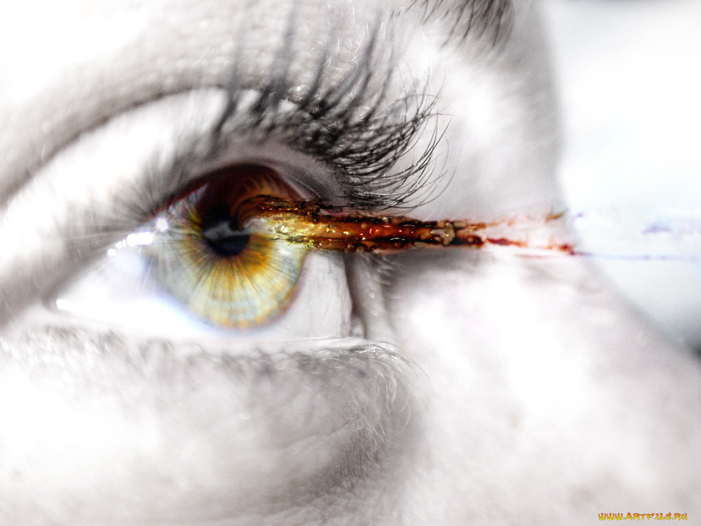 глаз, разное, глаза, зрачок, ресница