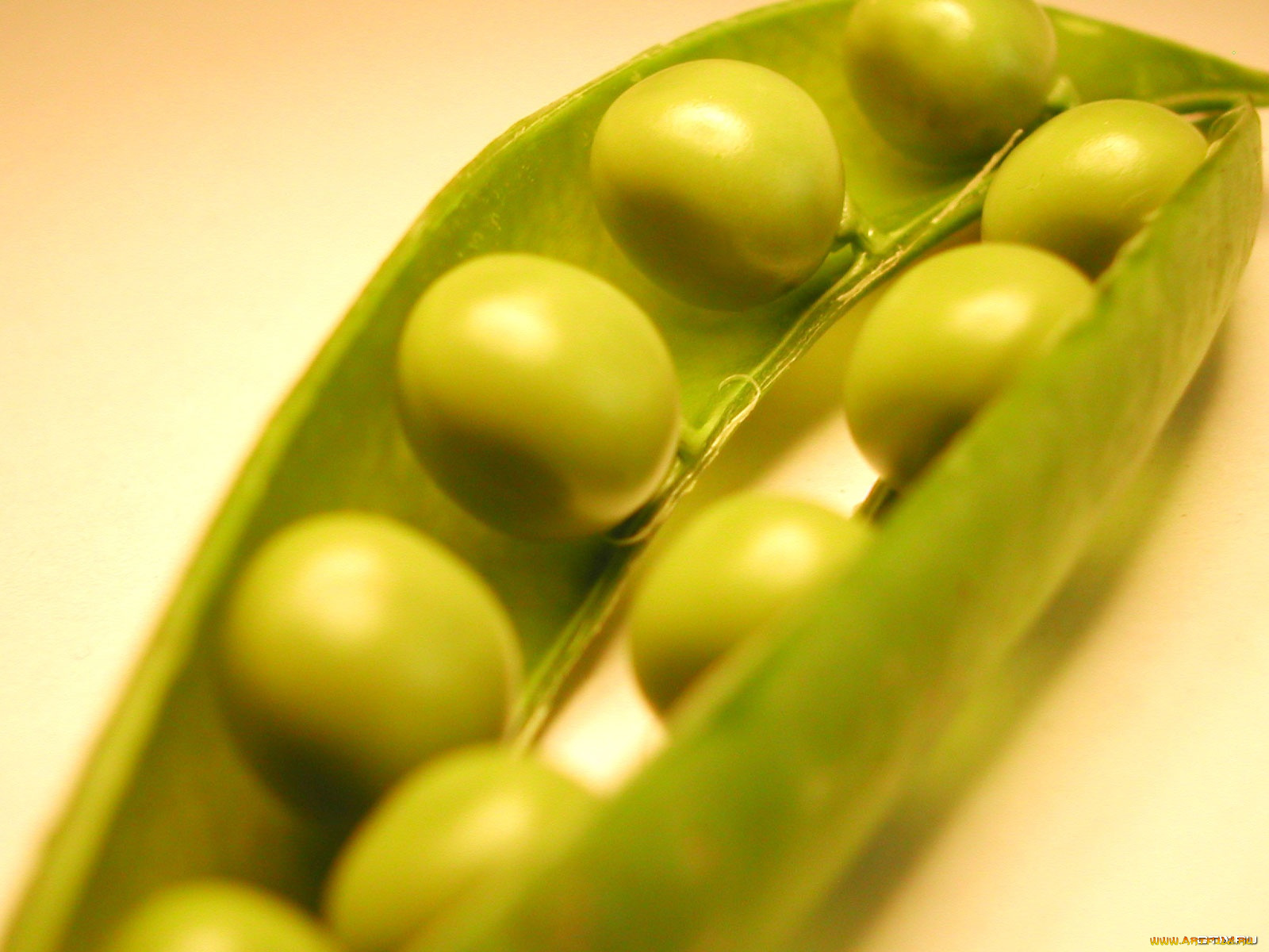 еда, бобовые