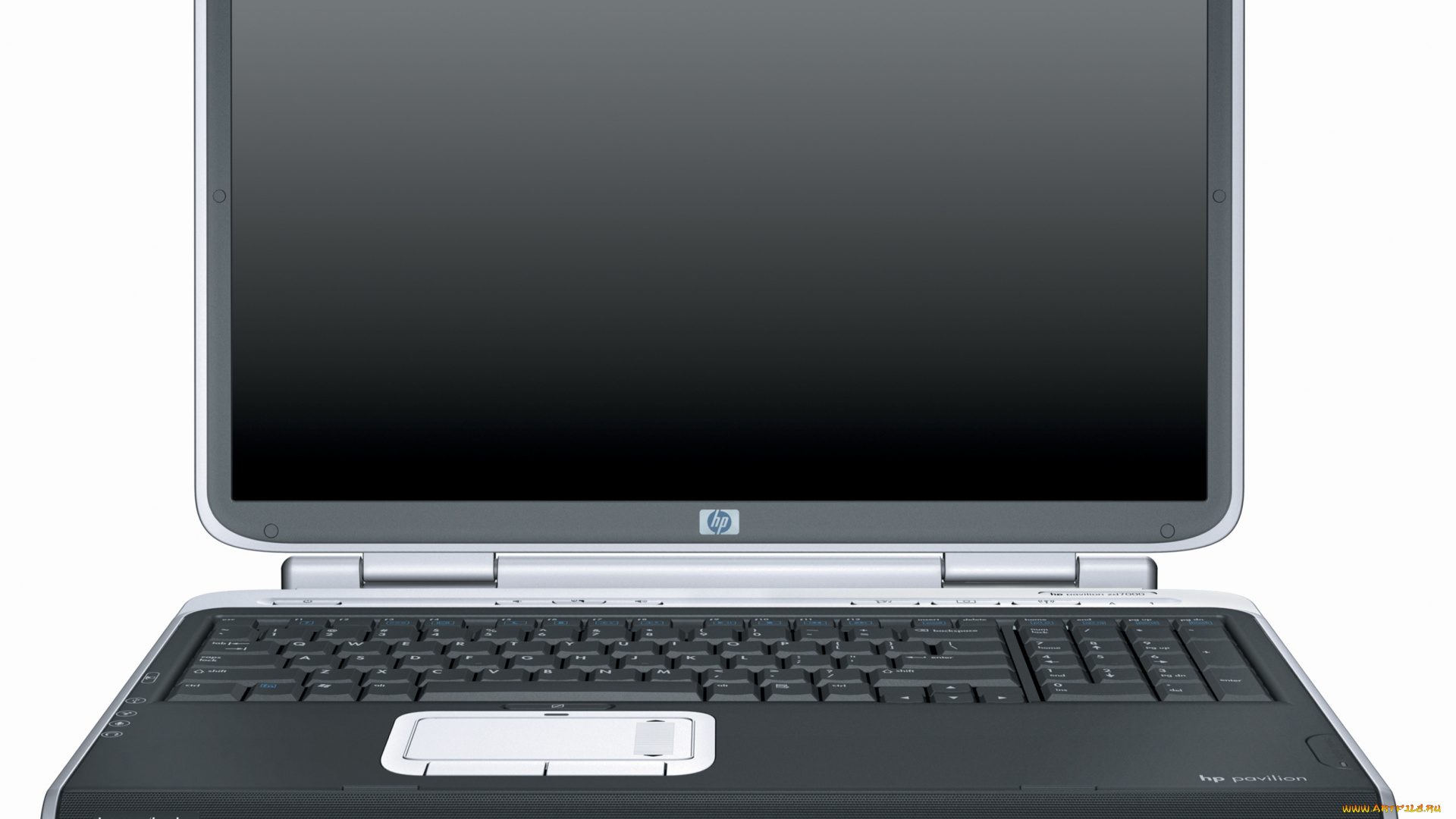 hewlett, packard, компьютеры, мониторы, ноутбуки