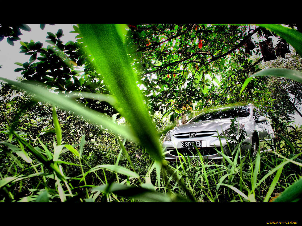 автомобили, peugeot