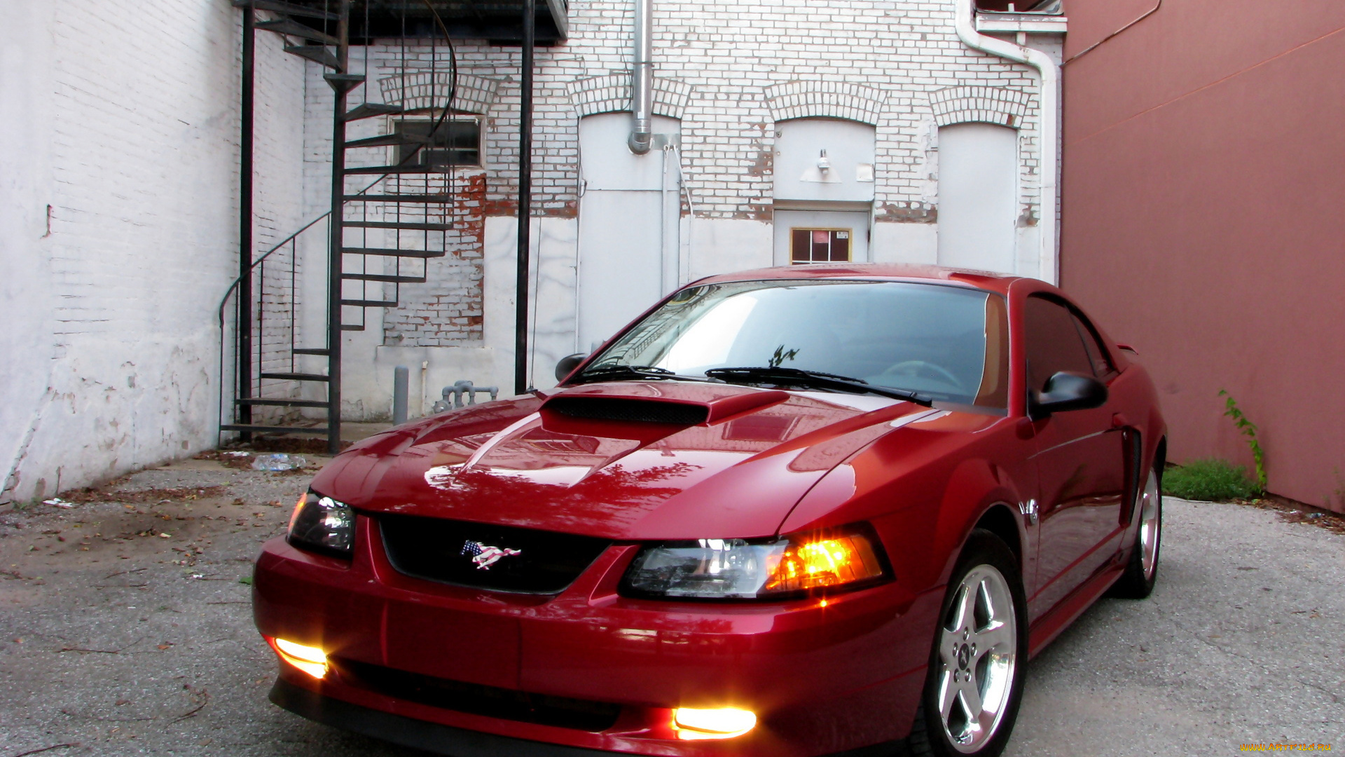 автомобили, mustang