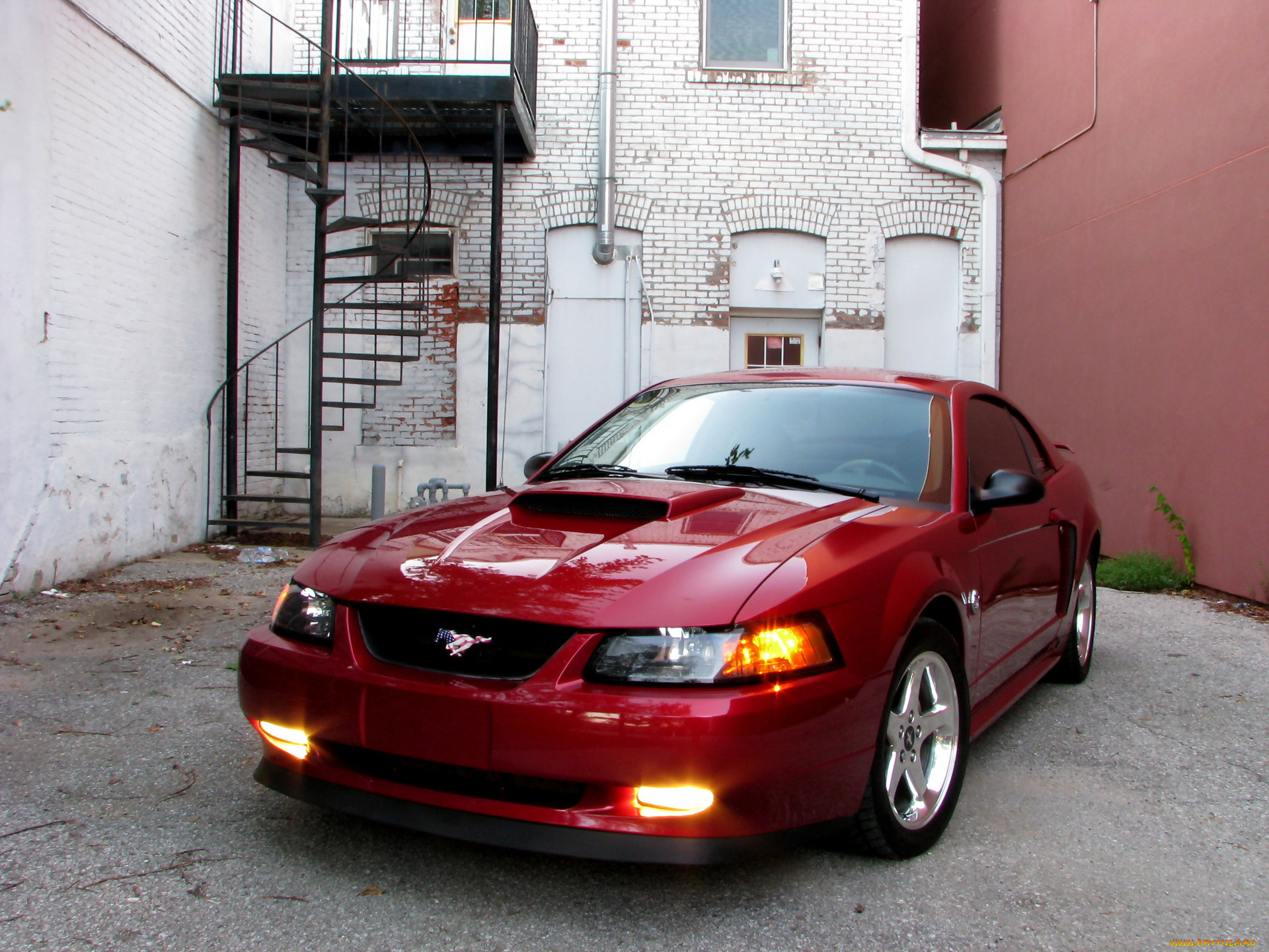 автомобили, mustang