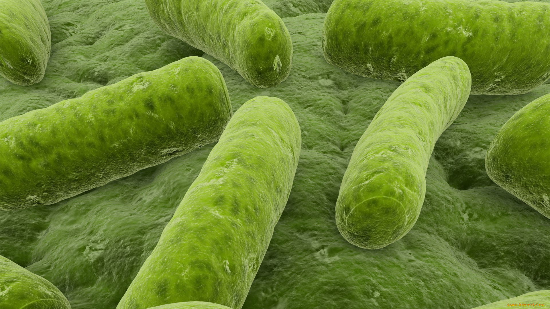 3д, графика, другое, зеленые, микробы