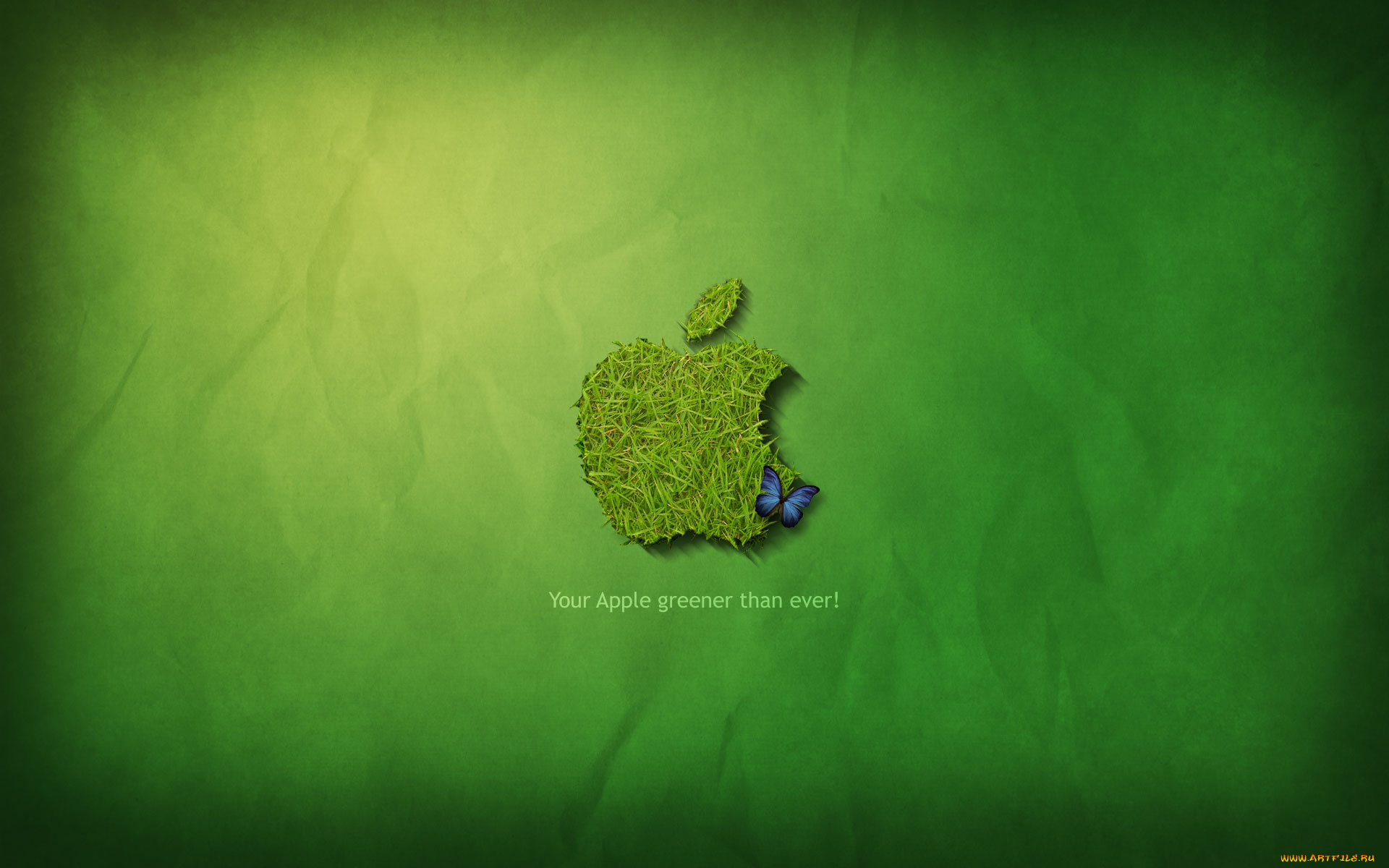 компьютеры, apple