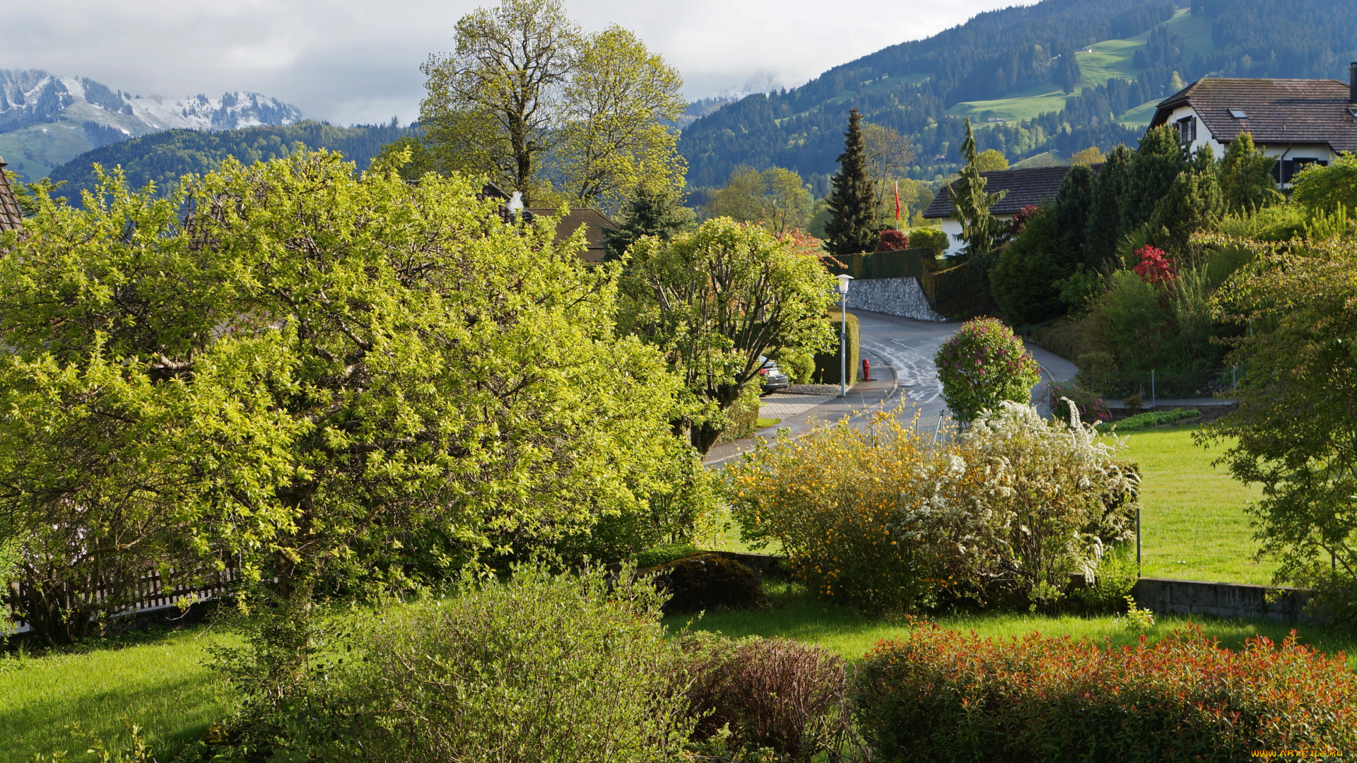 gruyere, switzerland, города, пейзажи, дома, улица, пейзаж