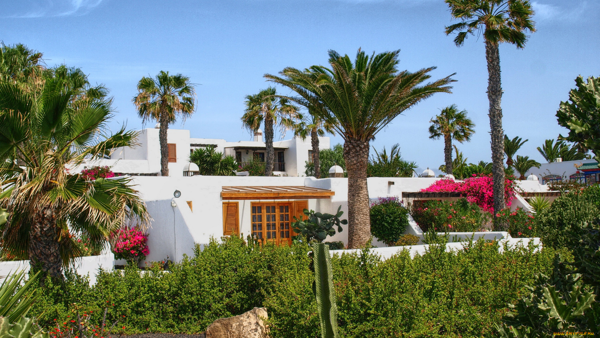 испания, канары, плайя, бланка, города, здания, дома, цветы, деревья, пейзаж