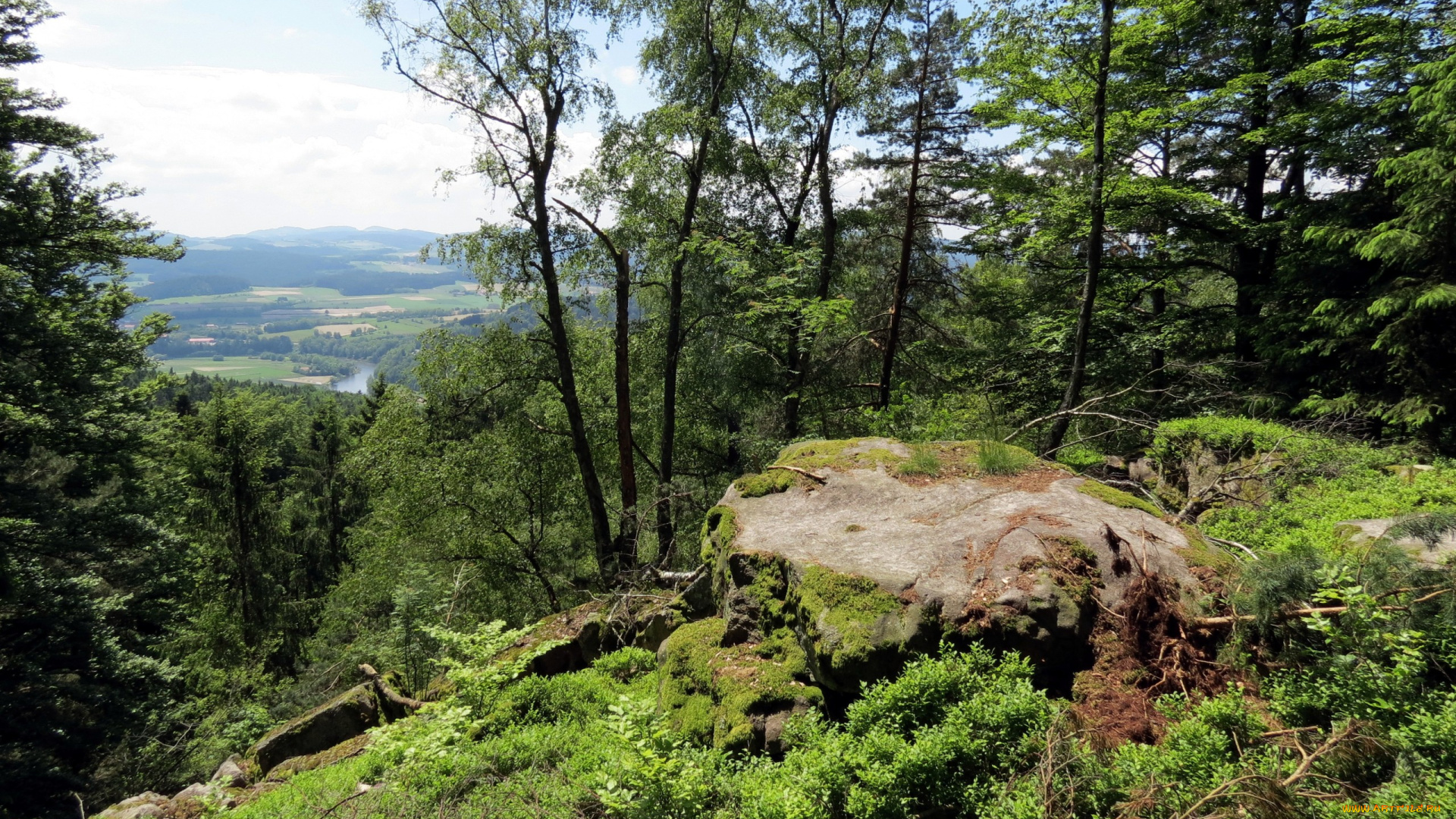 природа, лес, горы, трава, панорама