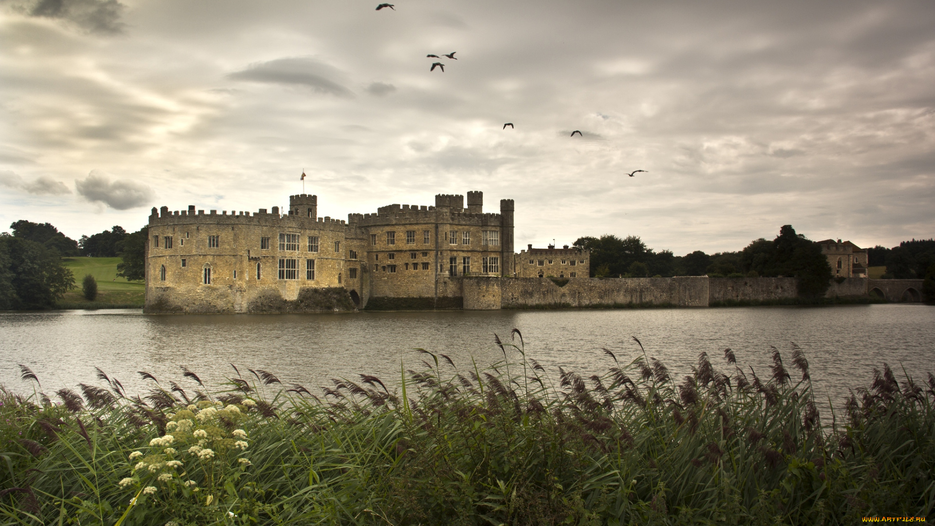 замок, лидс, англия, города, дворцы, замки, крепости, река, камыши