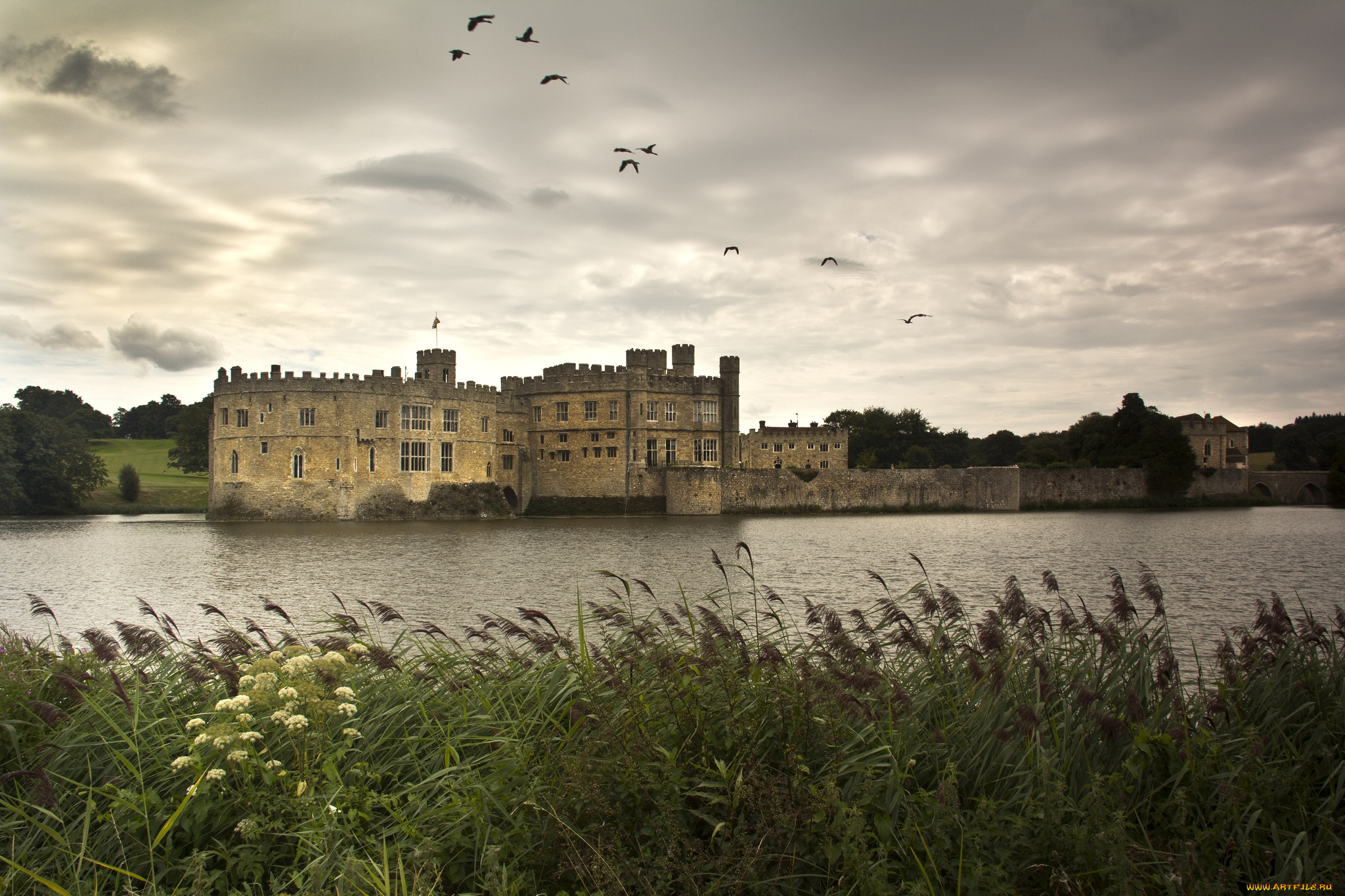 замок, лидс, англия, города, дворцы, замки, крепости, река, камыши