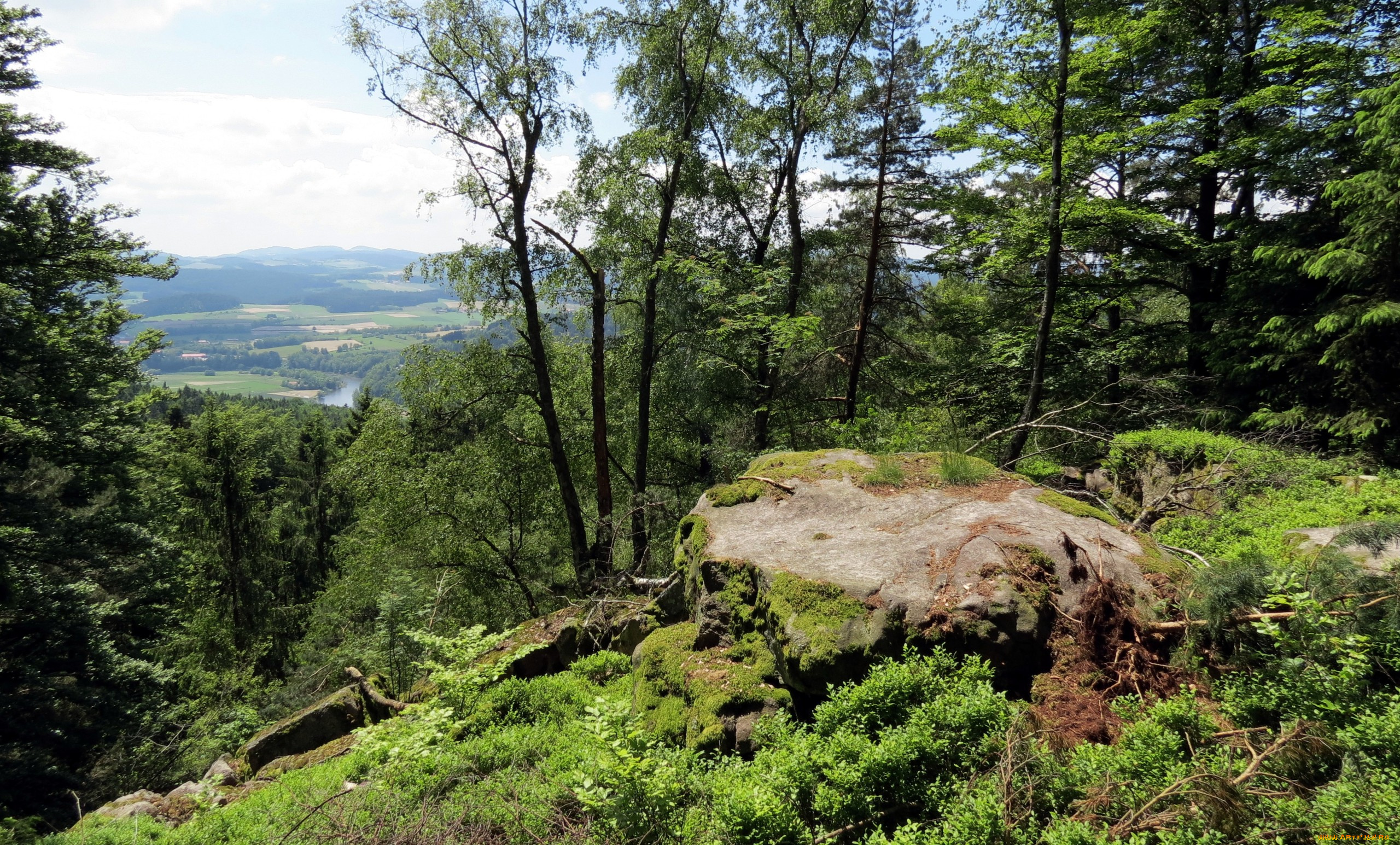 природа, лес, горы, трава, панорама