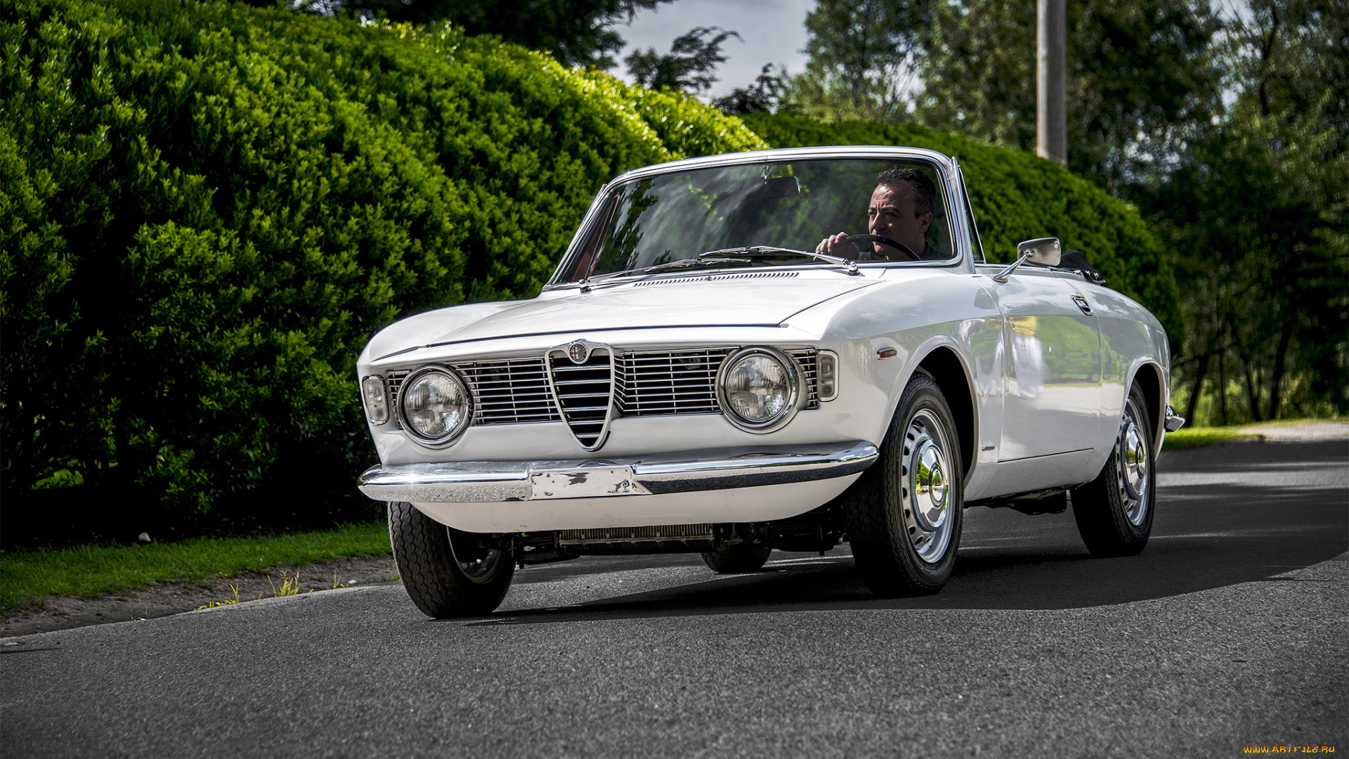 alfa, romeo, giulia, gtc, автомобили, alfa, romeo, автопробег, выставка, автошоу