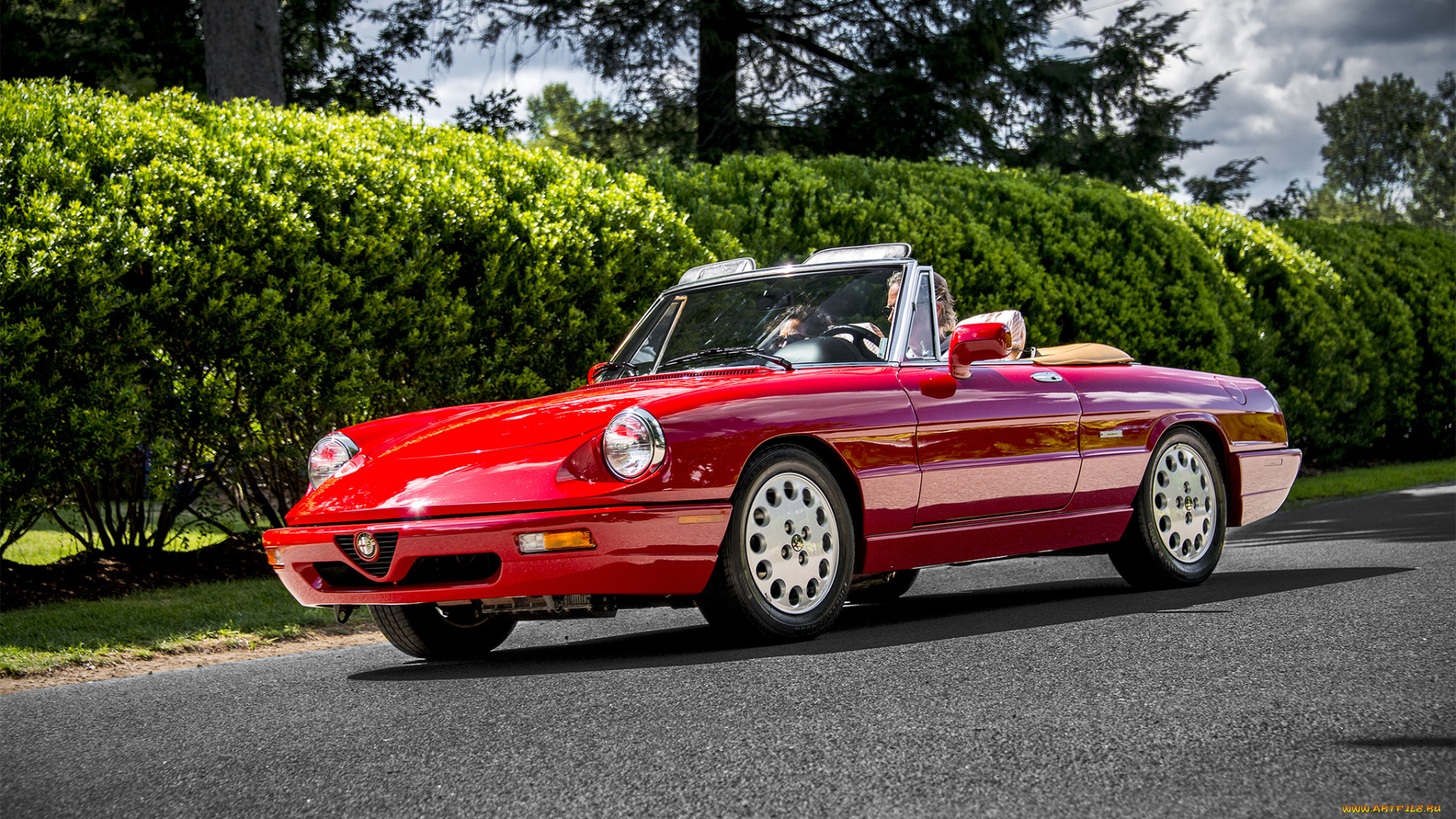 alfa, romeo, spider, автомобили, alfa, romeo, автопробег, автошоу, выставка