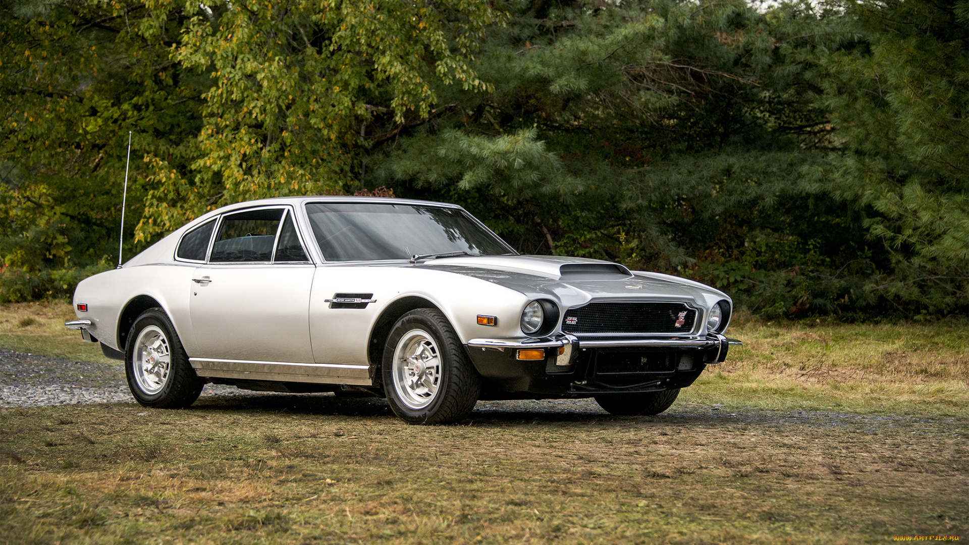 aston, martin, v8, автомобили, aston, martin, автошоу, выставка, автопробег