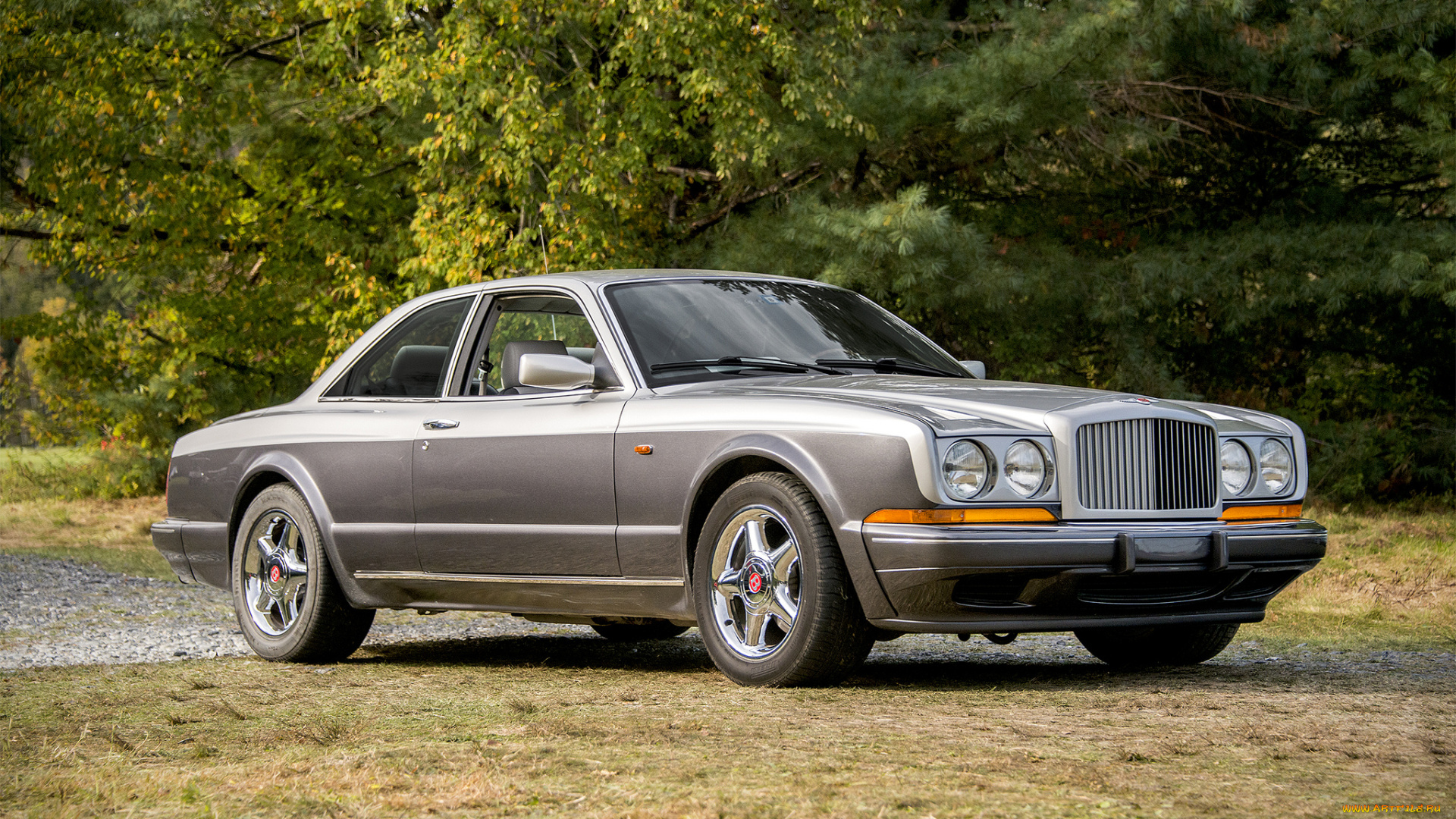 bentley, continental, r, автомобили, bentley, выставка, автошоу, автопробег