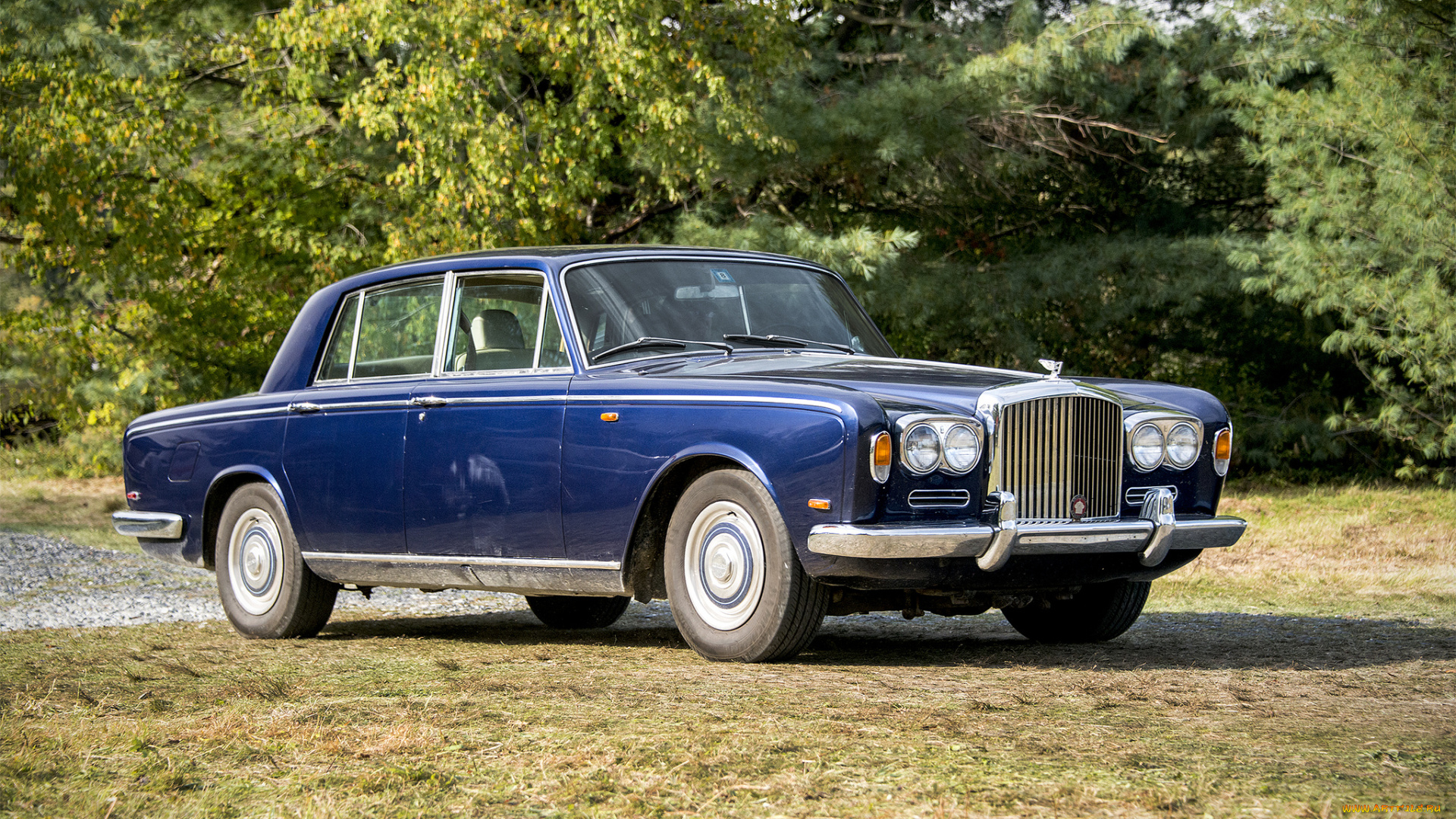 bentley, t-series, автомобили, bentley, выставка, автопробег, автошоу