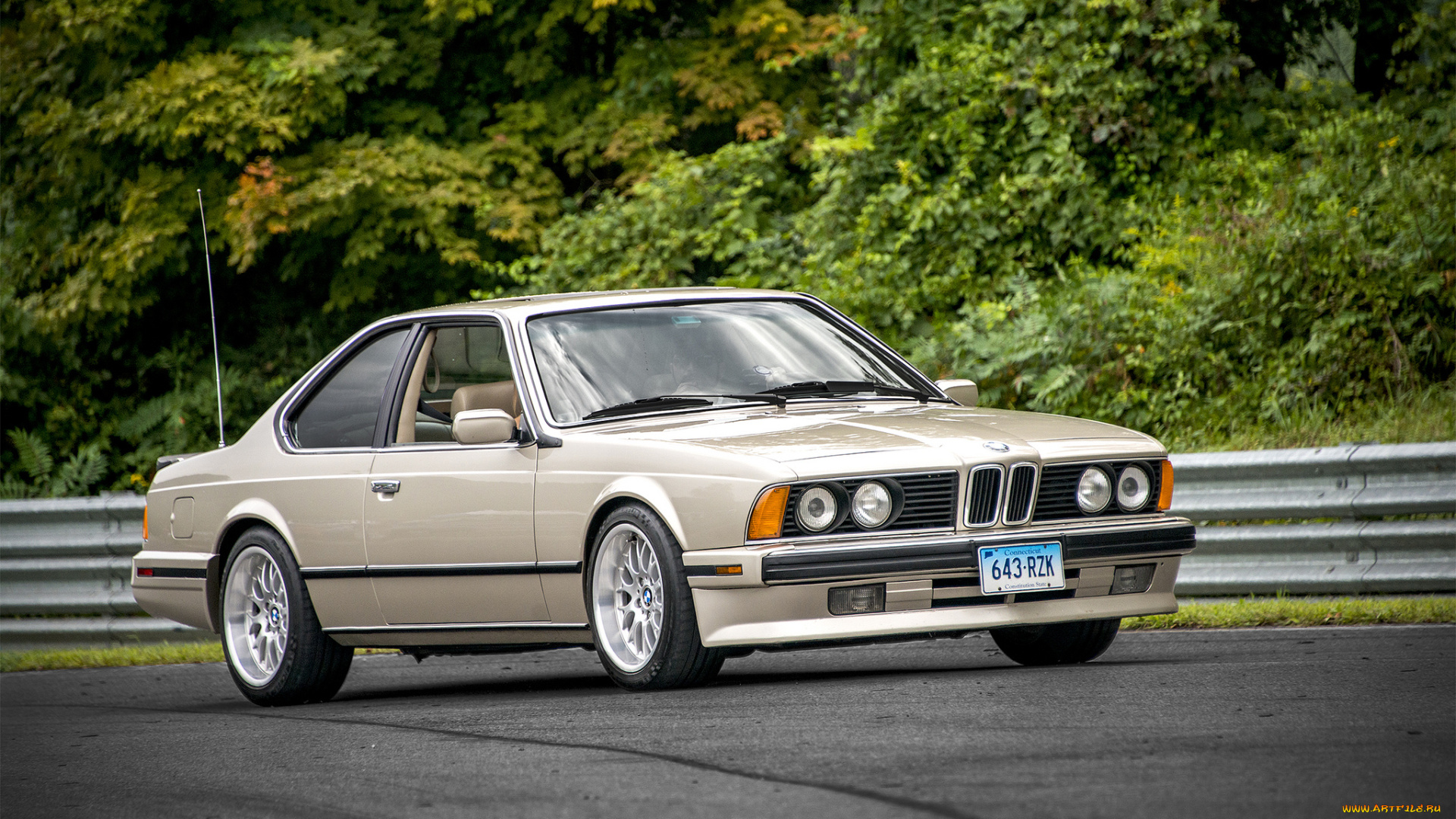 bmw, e24, автомобили, bmw, автопробег, выставка, автошоу