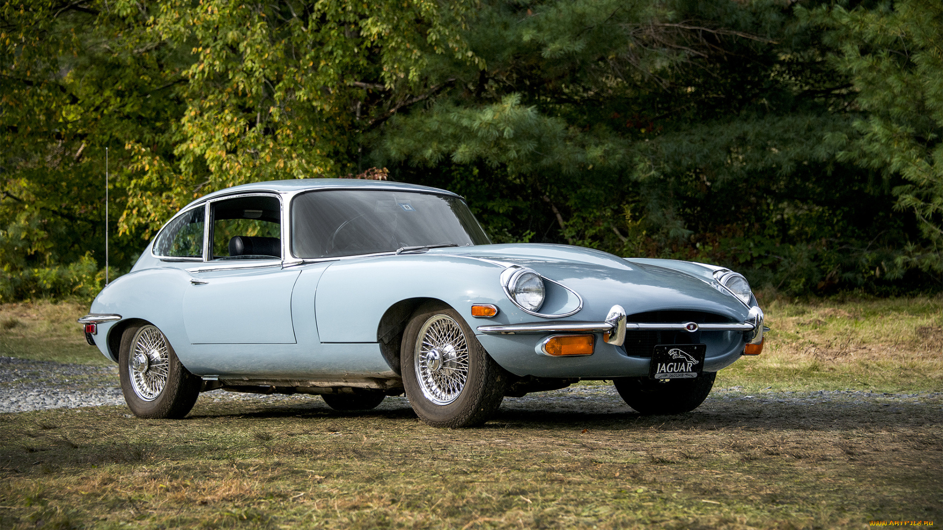 jaguar, e-type, автомобили, jaguar, автопробег, выставка, автошоу