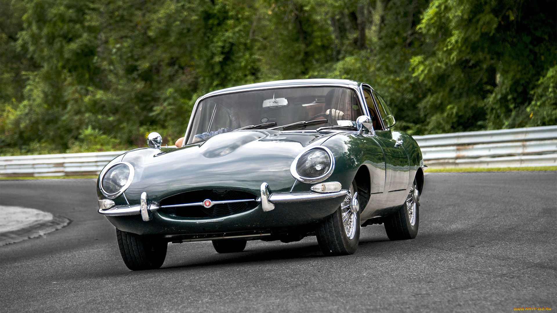 jaguar, e-type, автомобили, jaguar, автопробег, выставка, автошоу