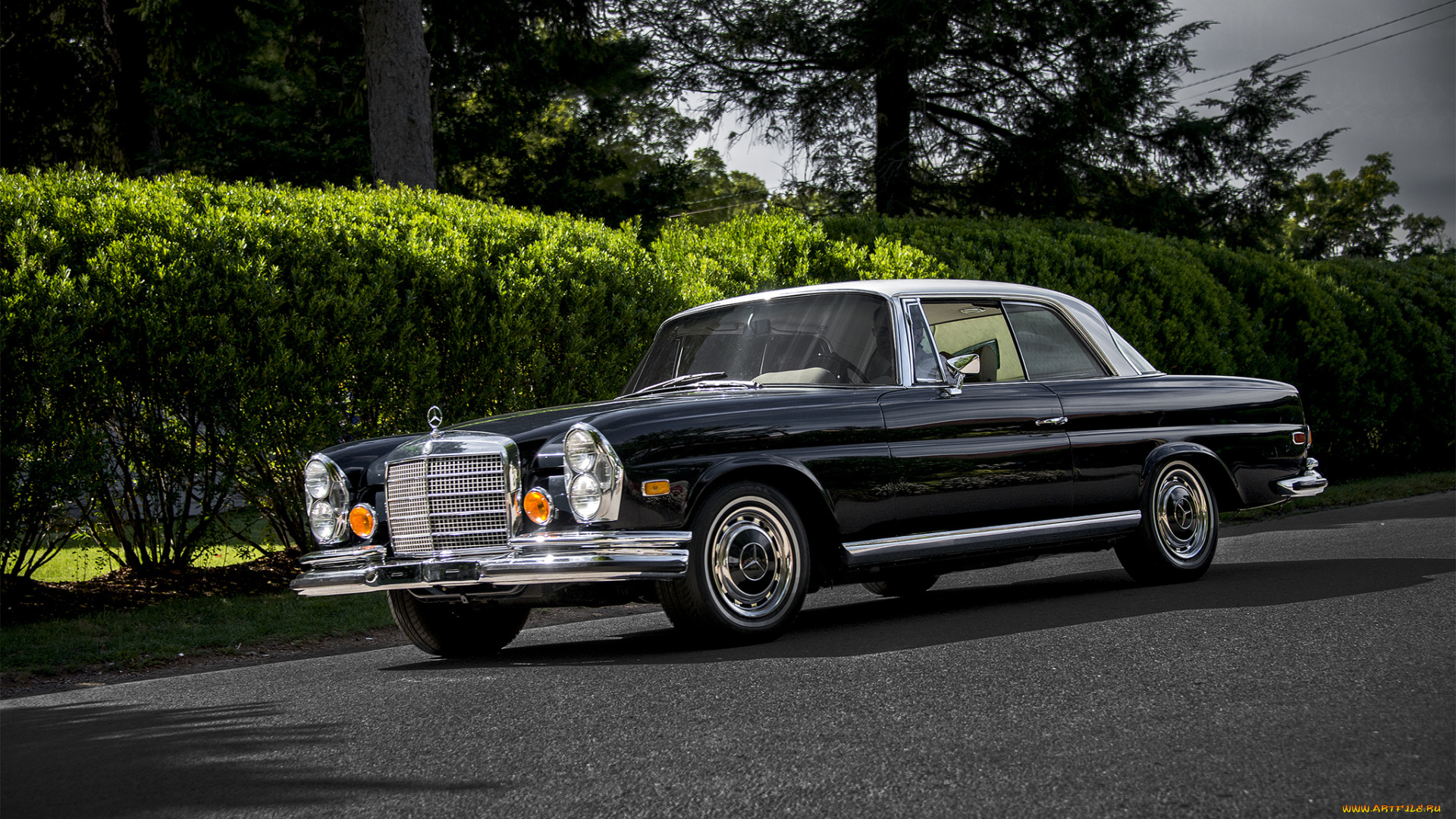 mercedes-benz, 280se, автомобили, mercedes-benz, автопробег, выставка, автошоу