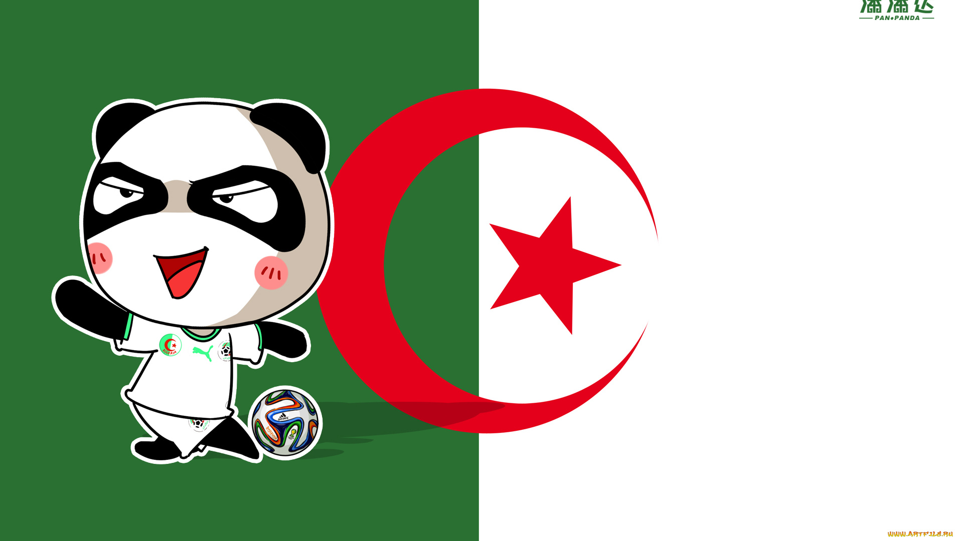 спорт, 3d, рисованные, панда, флаг, мяч, чемпионат, бразилия, 2014г