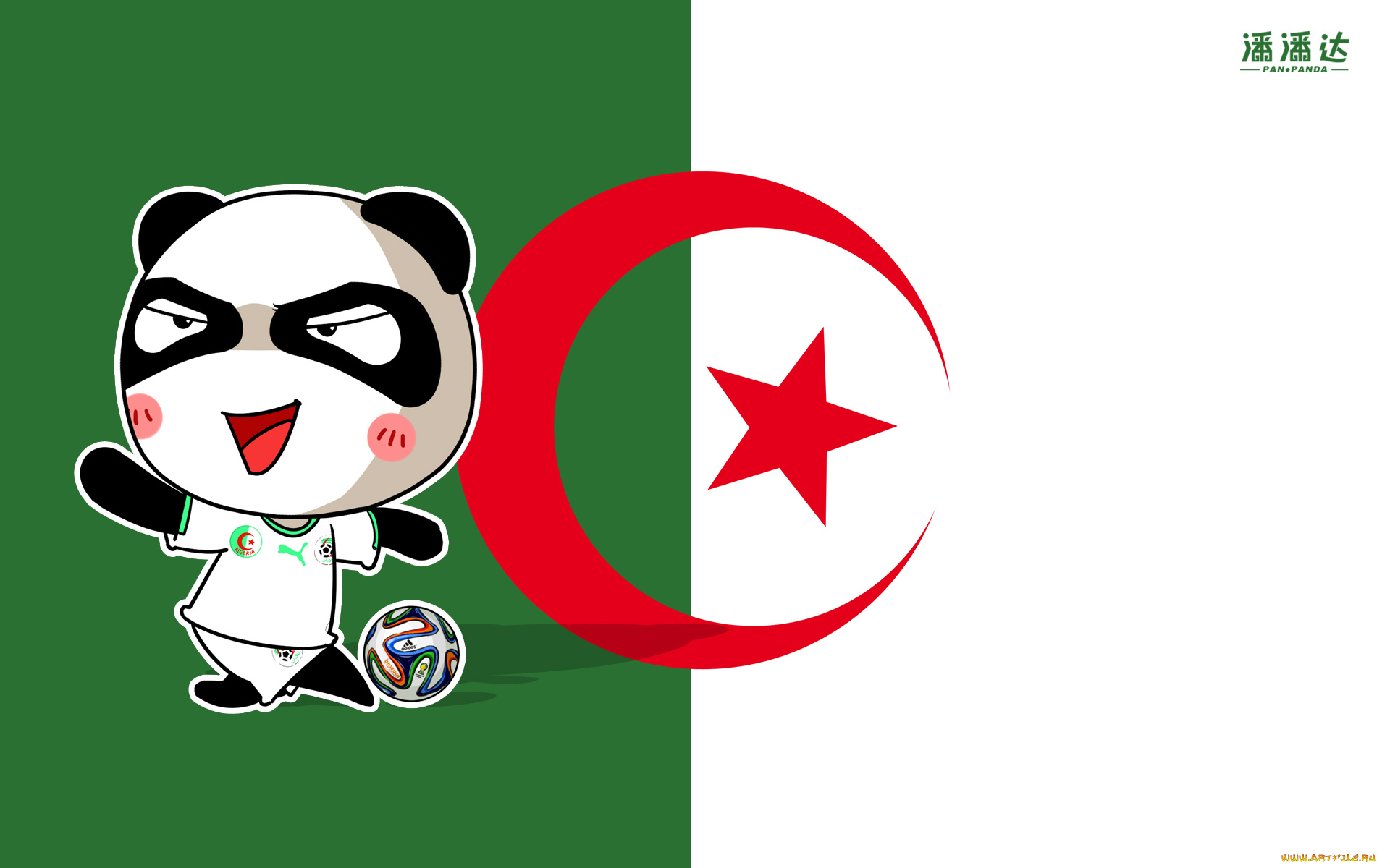 спорт, 3d, рисованные, панда, флаг, мяч, чемпионат, бразилия, 2014г