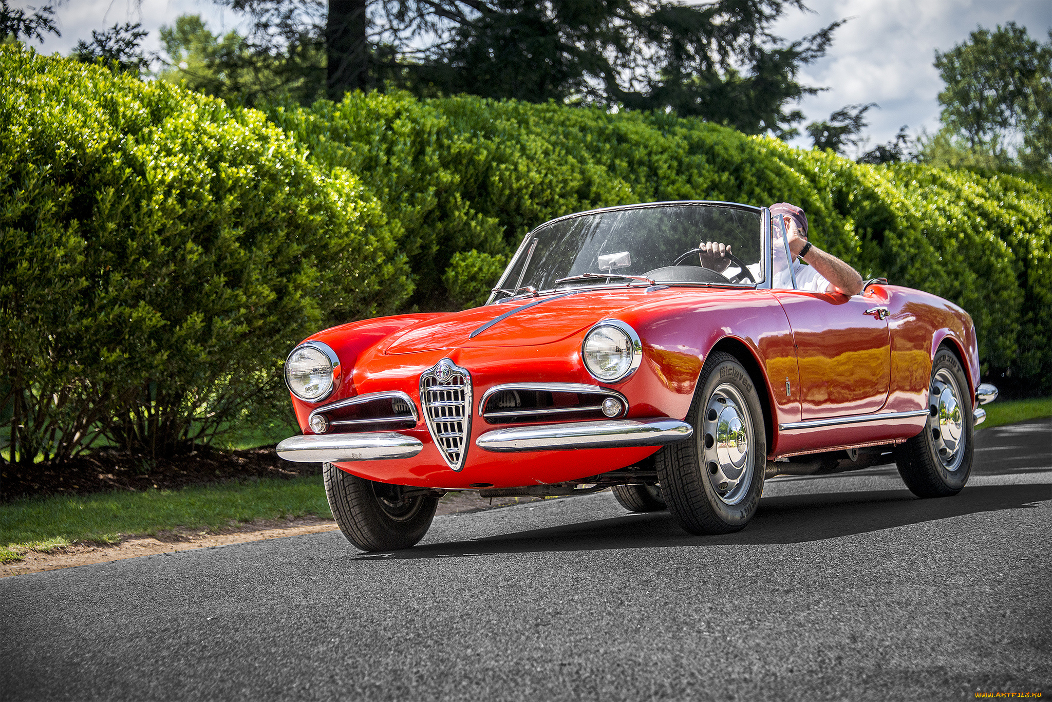 alfa, romeo, 1600, автомобили, alfa, romeo, автопробег, выставка, автошоу