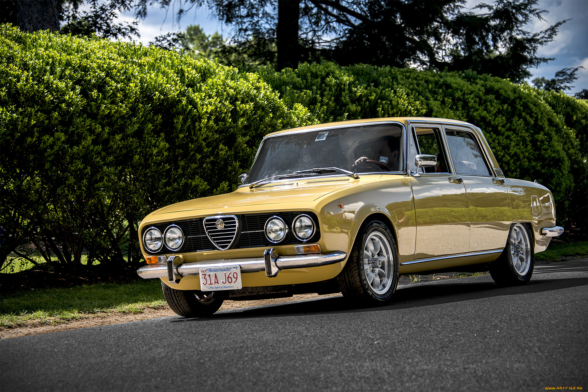 alfa, romeo, 2000, berlina, автомобили, alfa, romeo, автопробег, выставка, автошоу