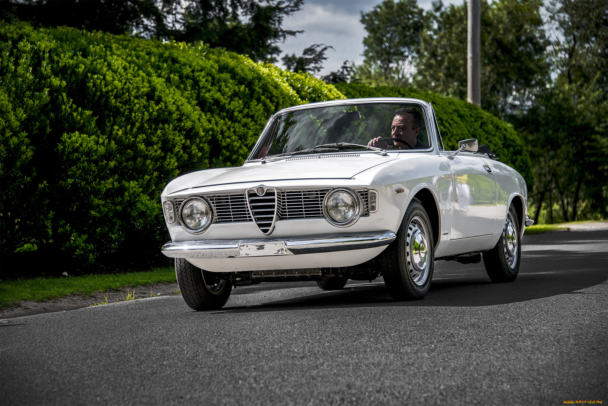 alfa, romeo, giulia, gtc, автомобили, alfa, romeo, автопробег, выставка, автошоу