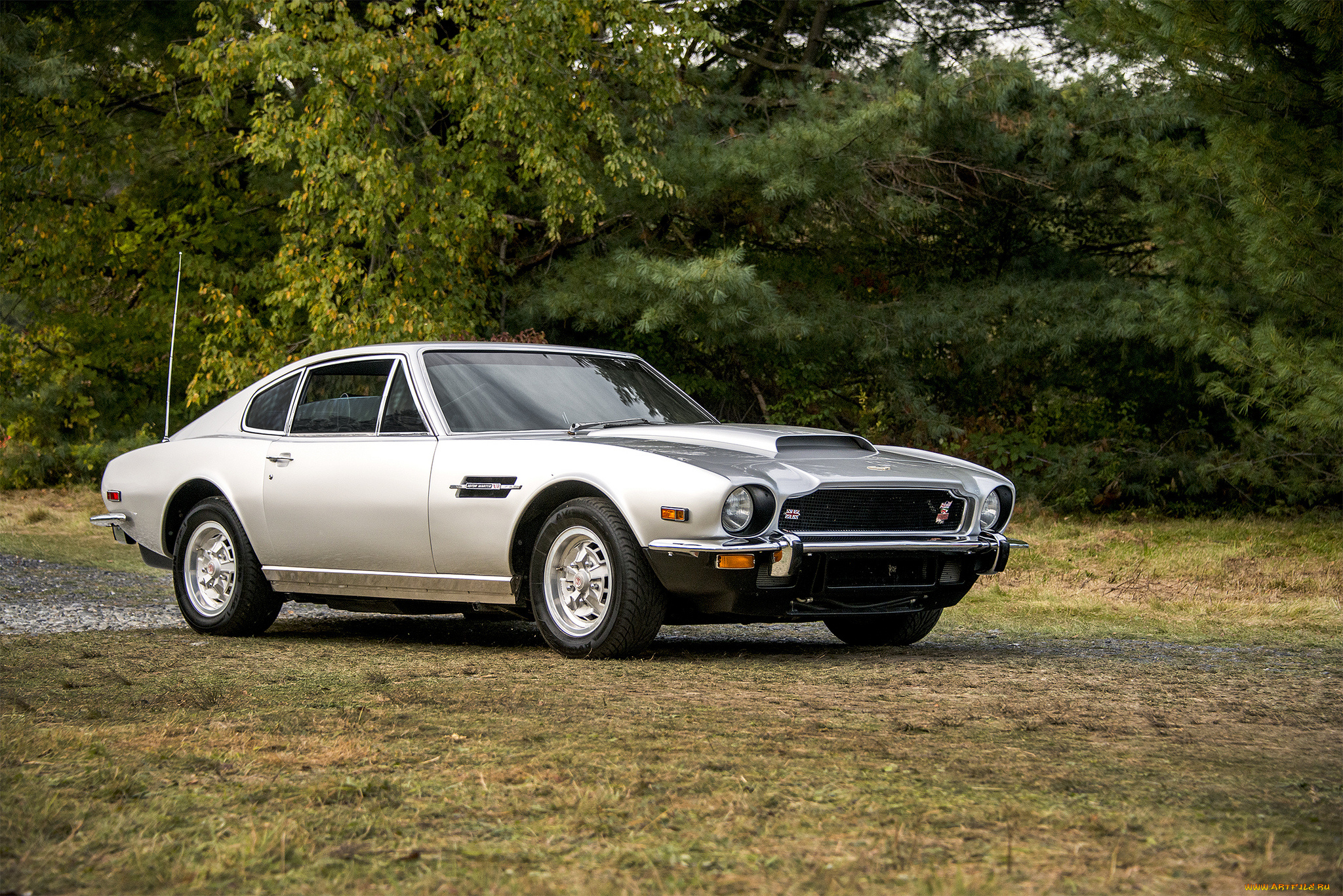 aston, martin, v8, автомобили, aston, martin, автошоу, выставка, автопробег