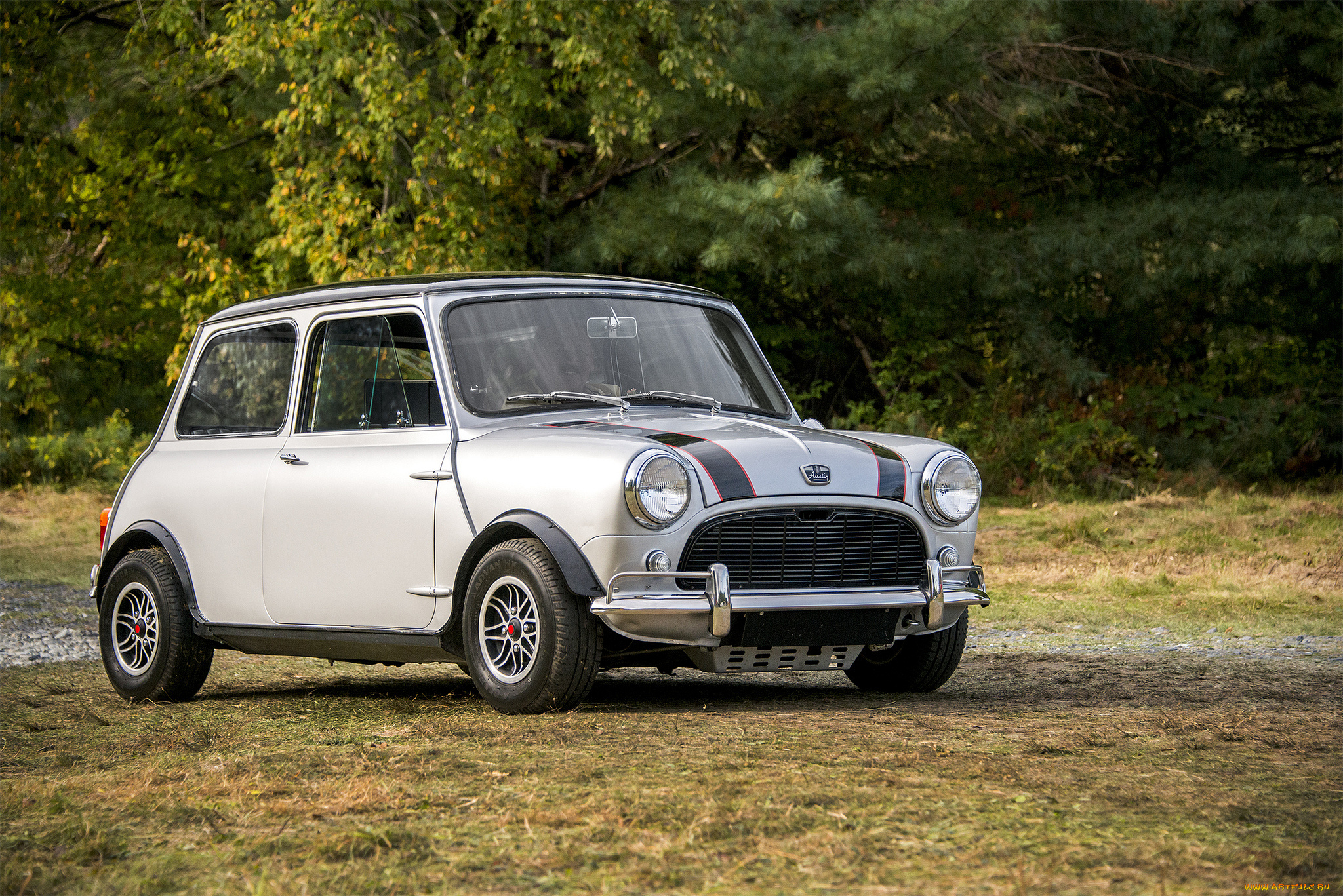 austin, mini, автомобили, mini, автопробег, выставка, автошоу