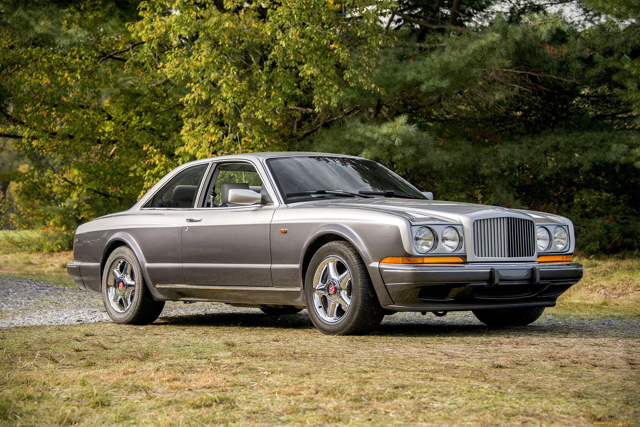 bentley, continental, r, автомобили, bentley, выставка, автошоу, автопробег