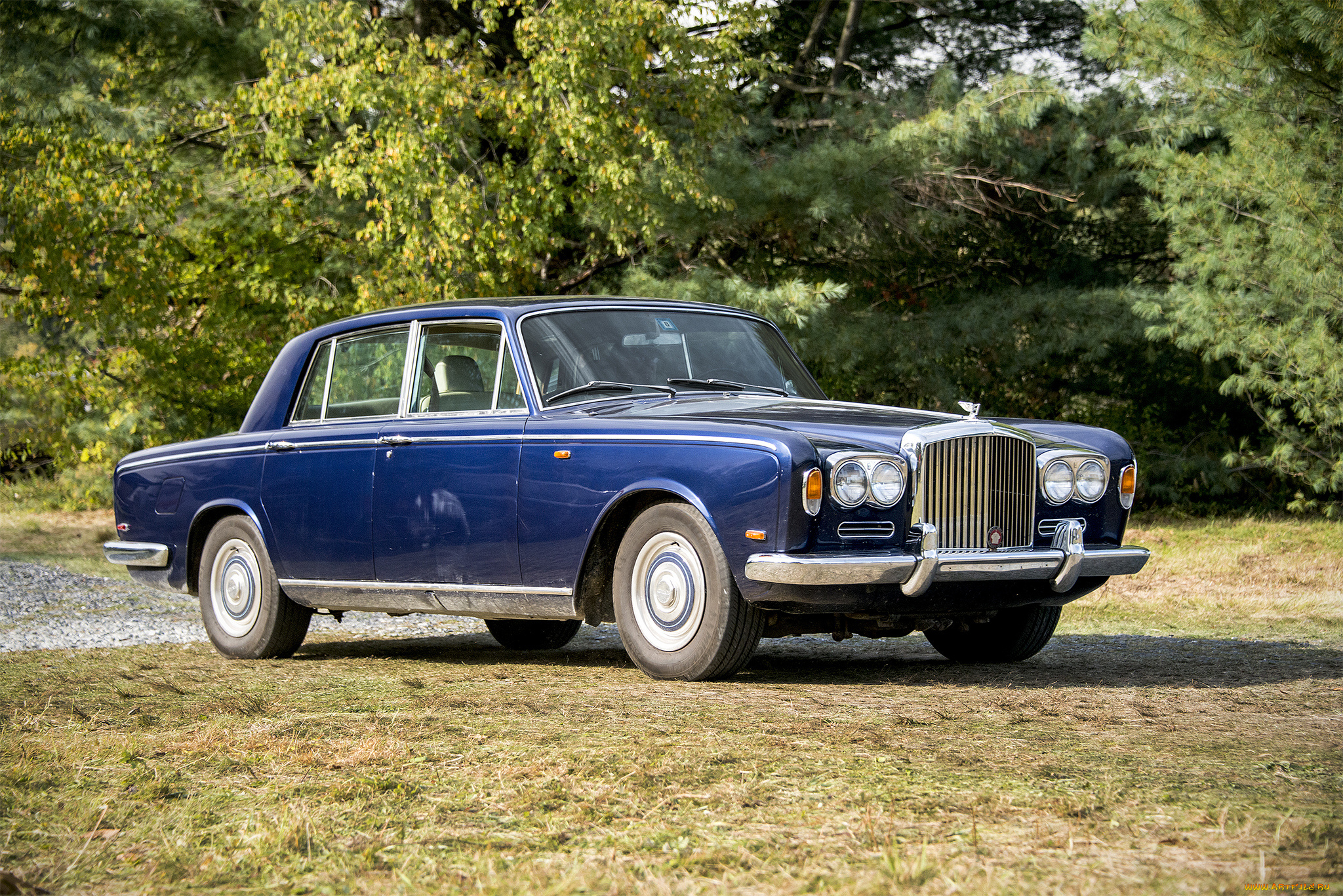 bentley, t-series, автомобили, bentley, выставка, автопробег, автошоу