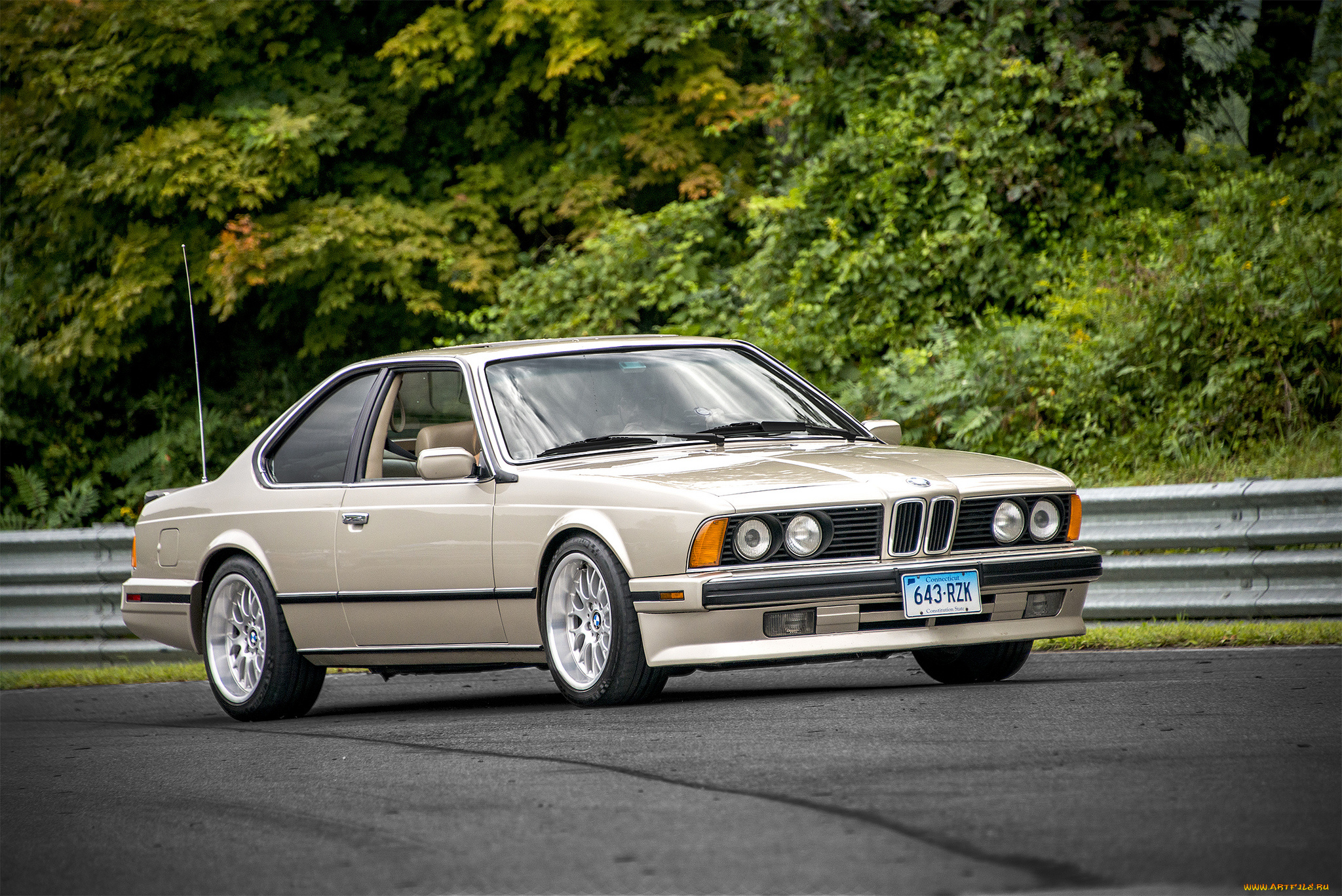bmw, e24, автомобили, bmw, автопробег, выставка, автошоу