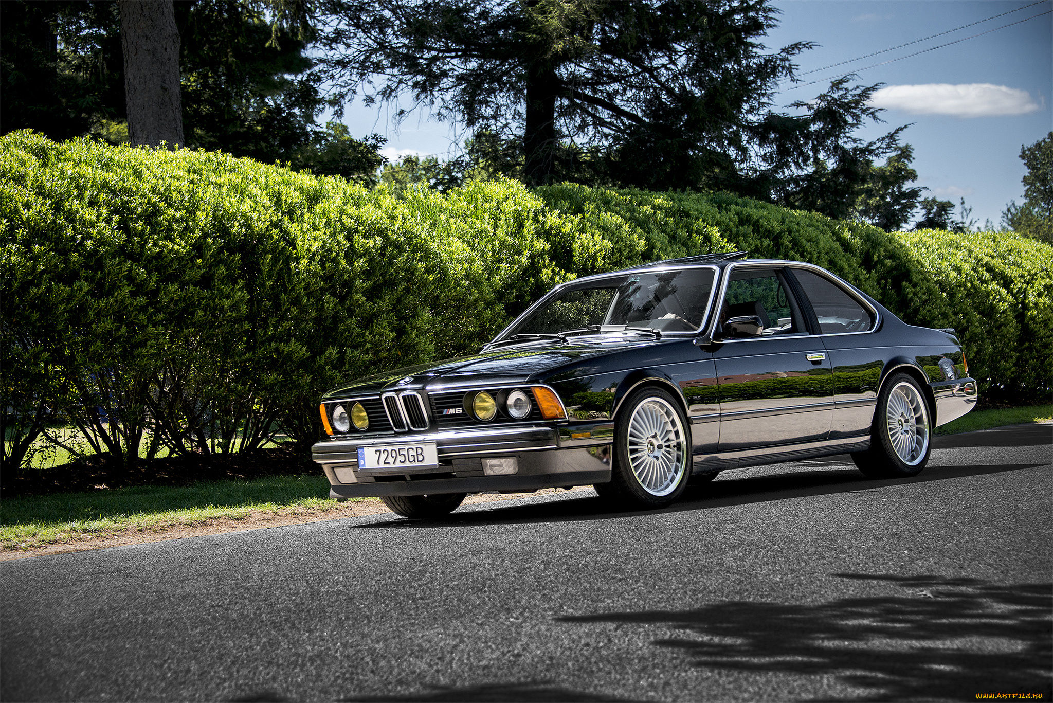 bmw, m6, автомобили, bmw, автопробег, выставка, автошоу